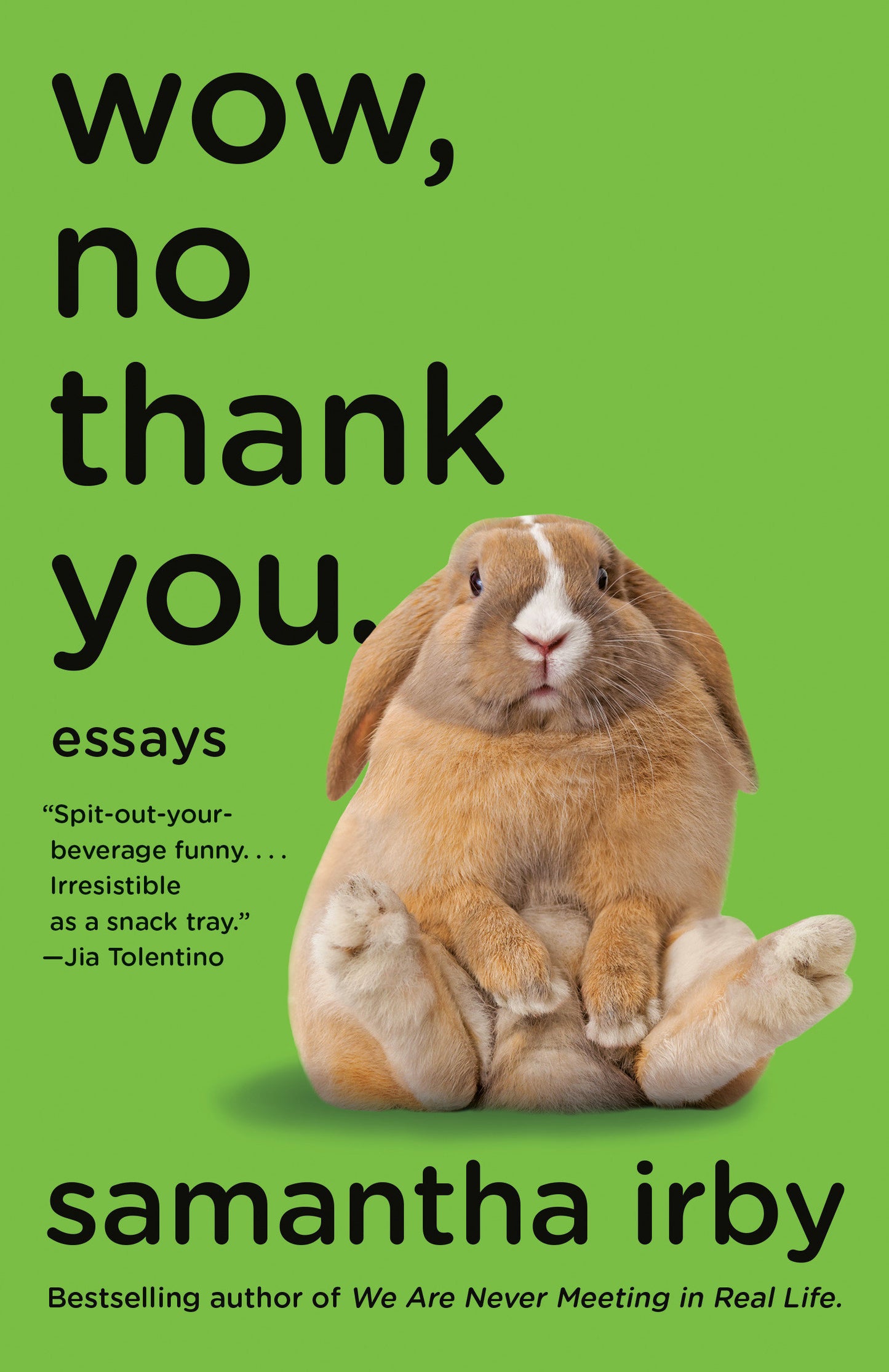 Wow, No Thank You. - Essays (Lambda Literary Award)