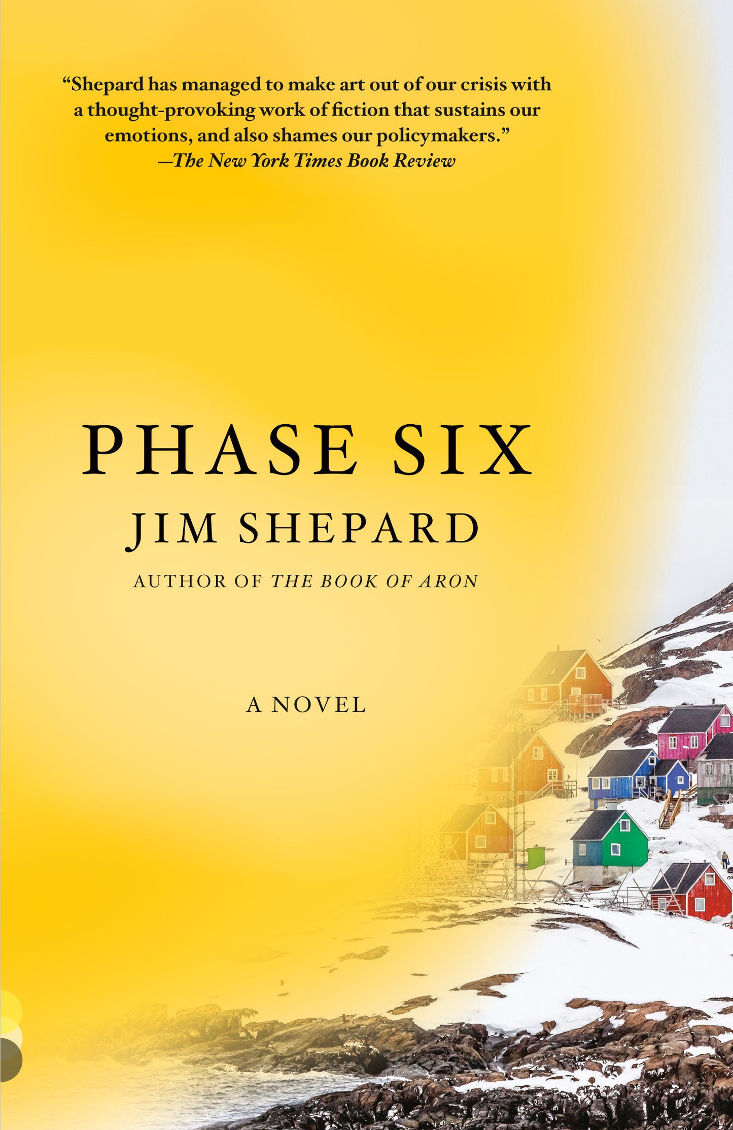 Phase Six - A novel (Vintage Contemporaries)