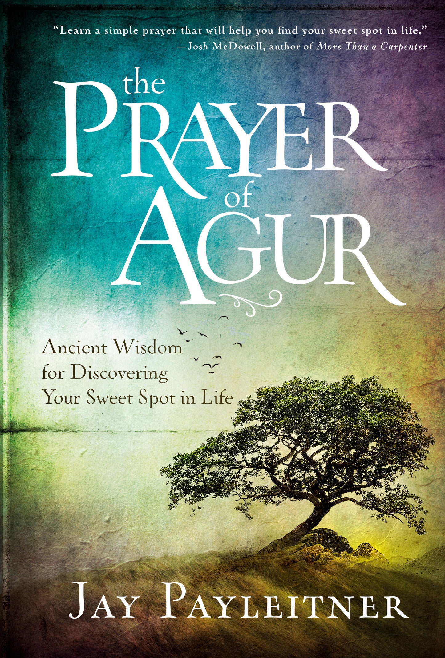 The Prayer of Agur - Ancient Wisdom for Discovering Your Sweet Spot in Life