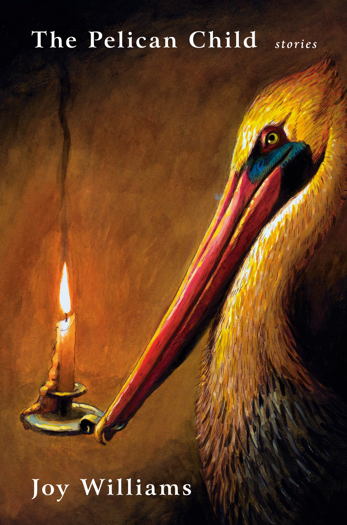 The Pelican Child - Stories