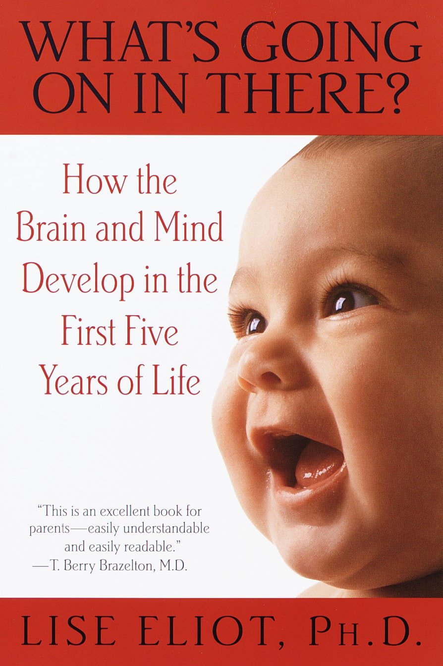 What's Going on in There? - How the Brain and Mind Develop in the First Five Years of Life