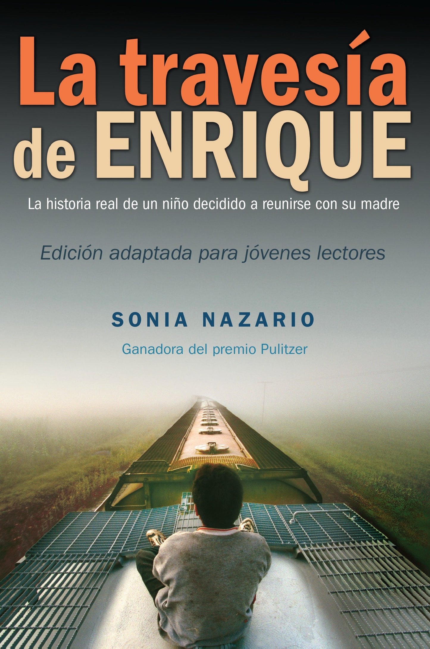 La Travesía de Enrique, Enrique's Journey