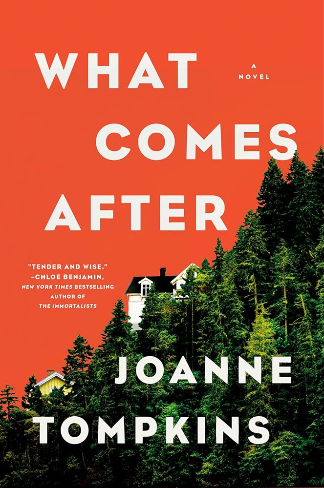 What Comes After: A Novel by JoAnne Tompkins