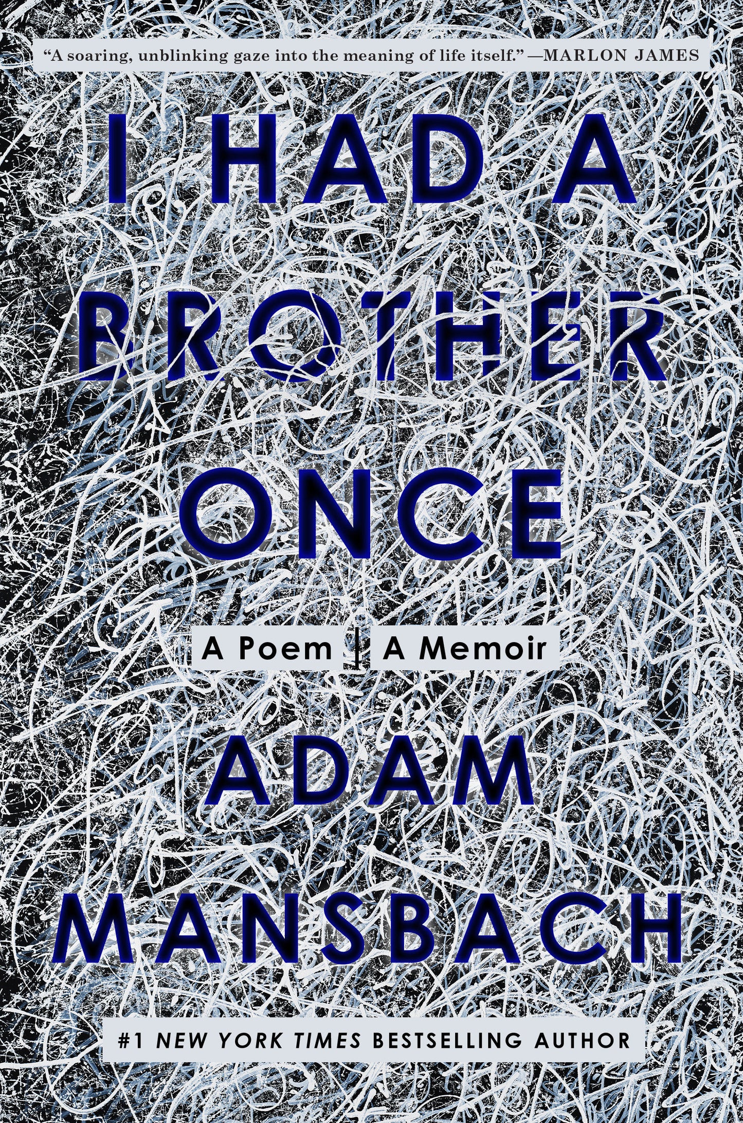 I Had a Brother Once - A Poem, A Memoir