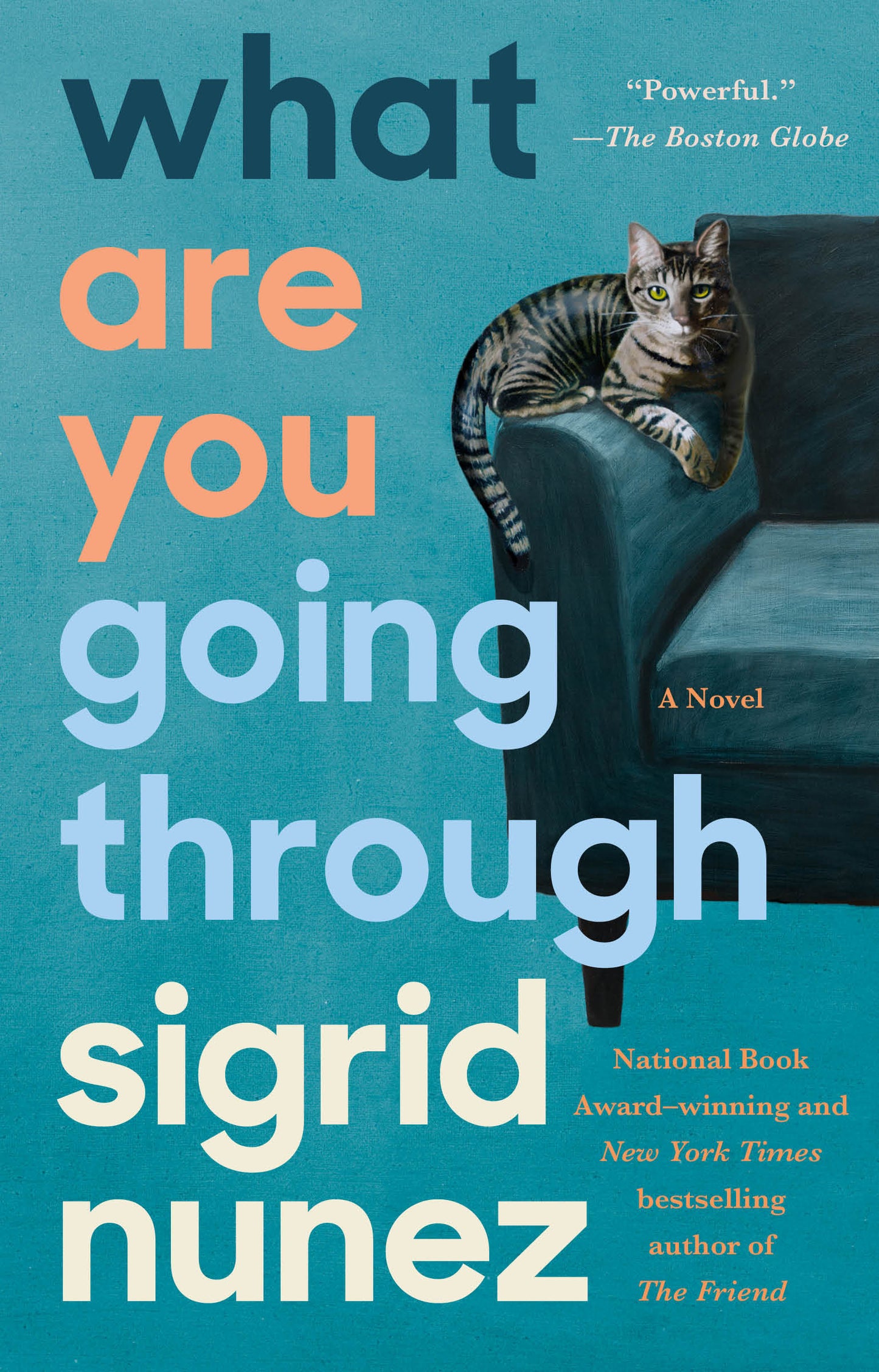 What Are You Going Through - A Novel
