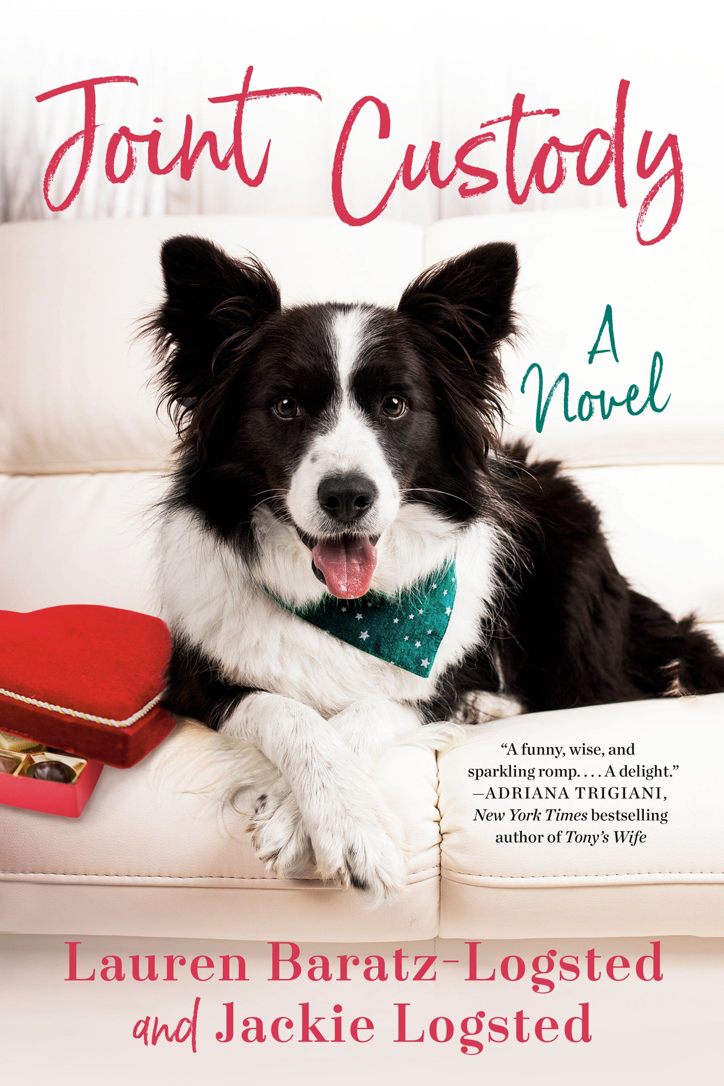 Joint Custody (The Gatz Chronicles) (Book:1)