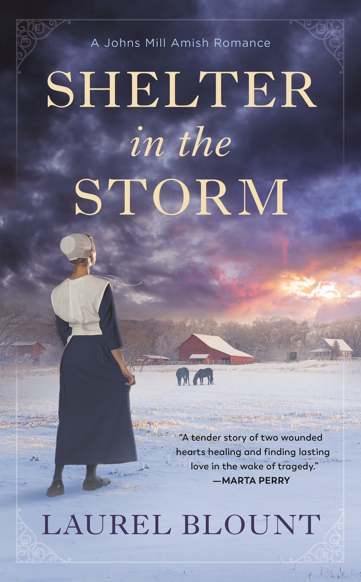 Shelter in the Storm (A Johns Mill Amish Romance) (Book:1)