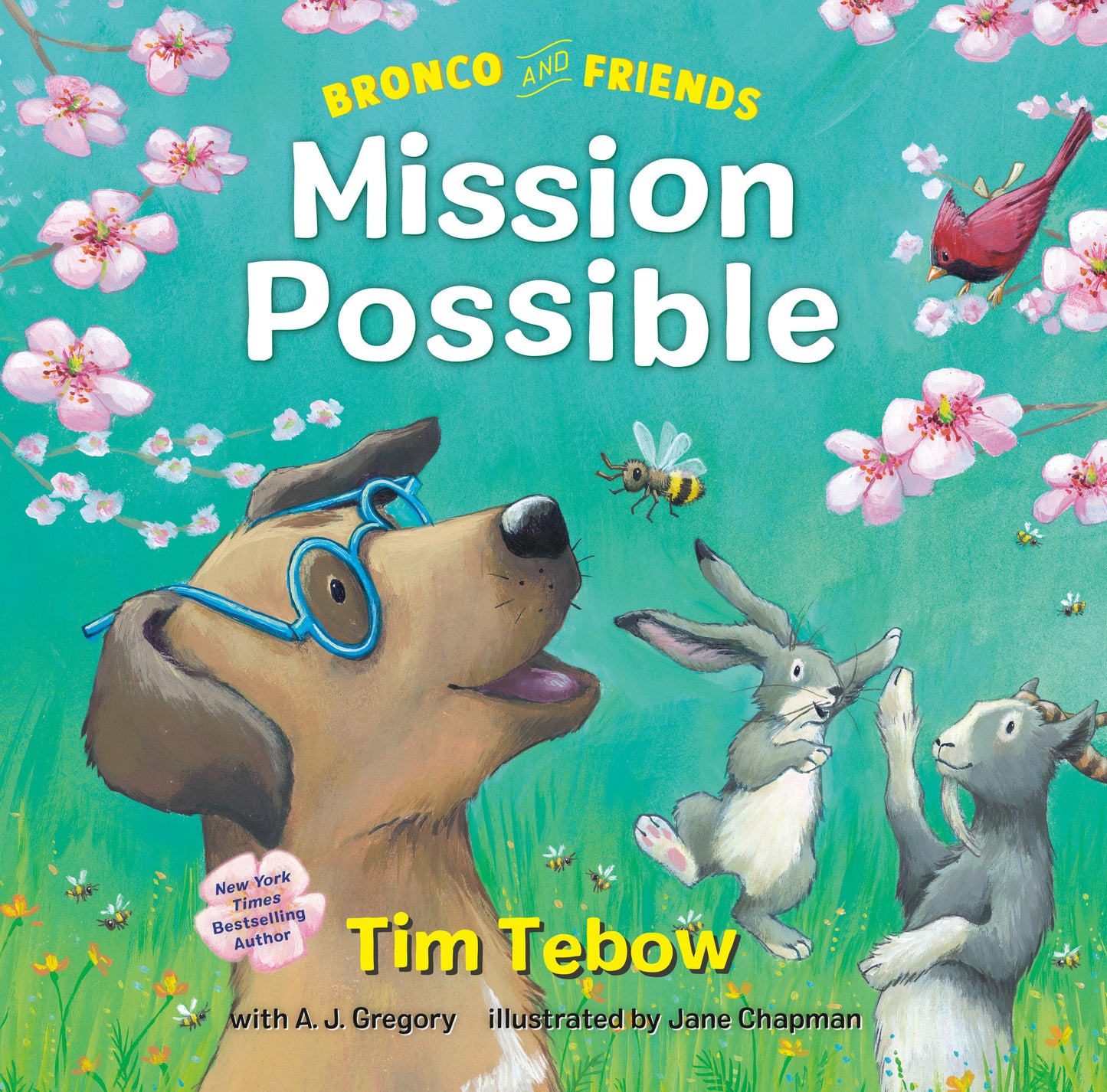 Bronco and Friends: Mission Possible (Bronco and Friends) (Book:2)