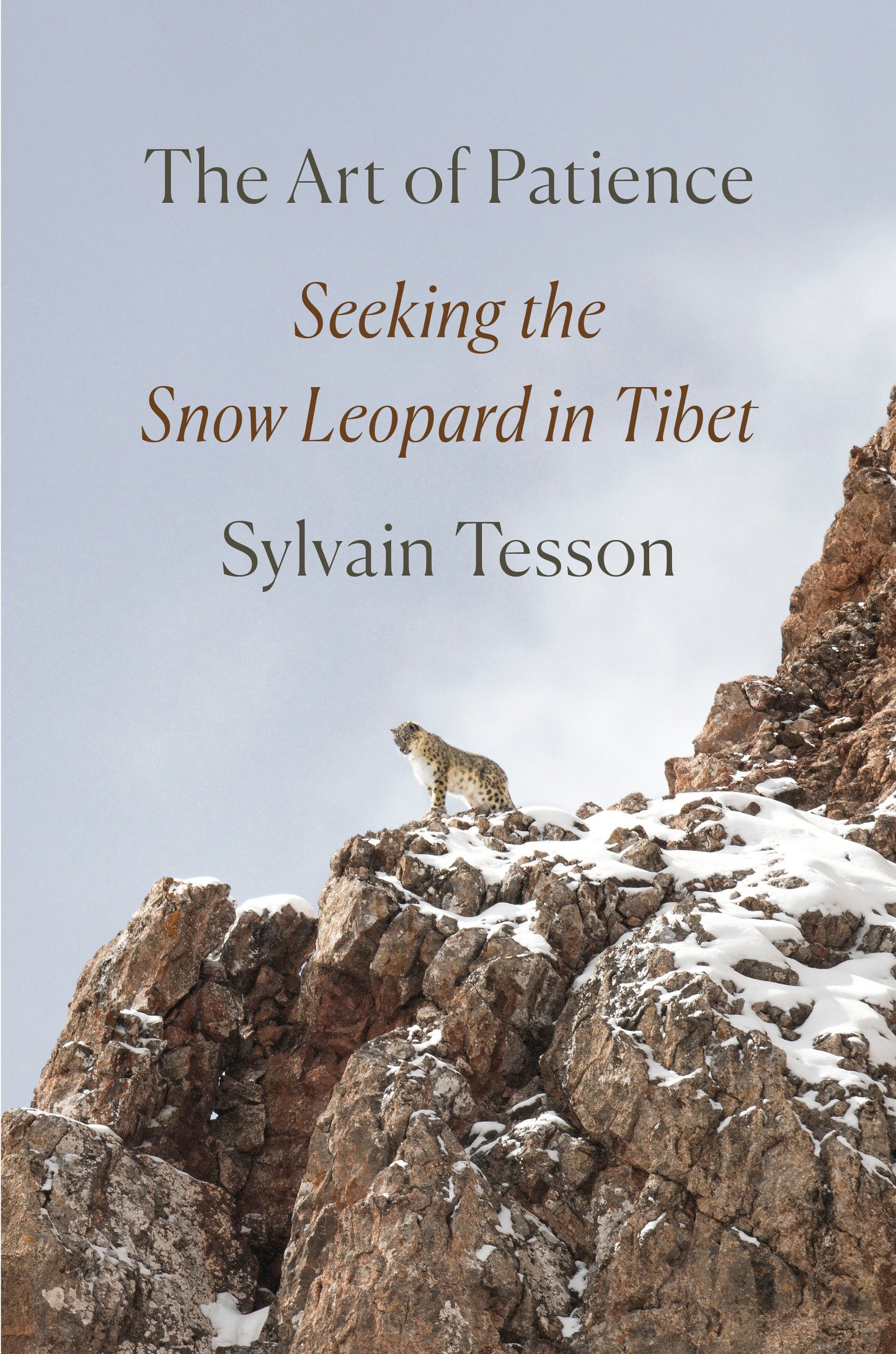 The Art of Patience - Seeking the Snow Leopard in Tibet
