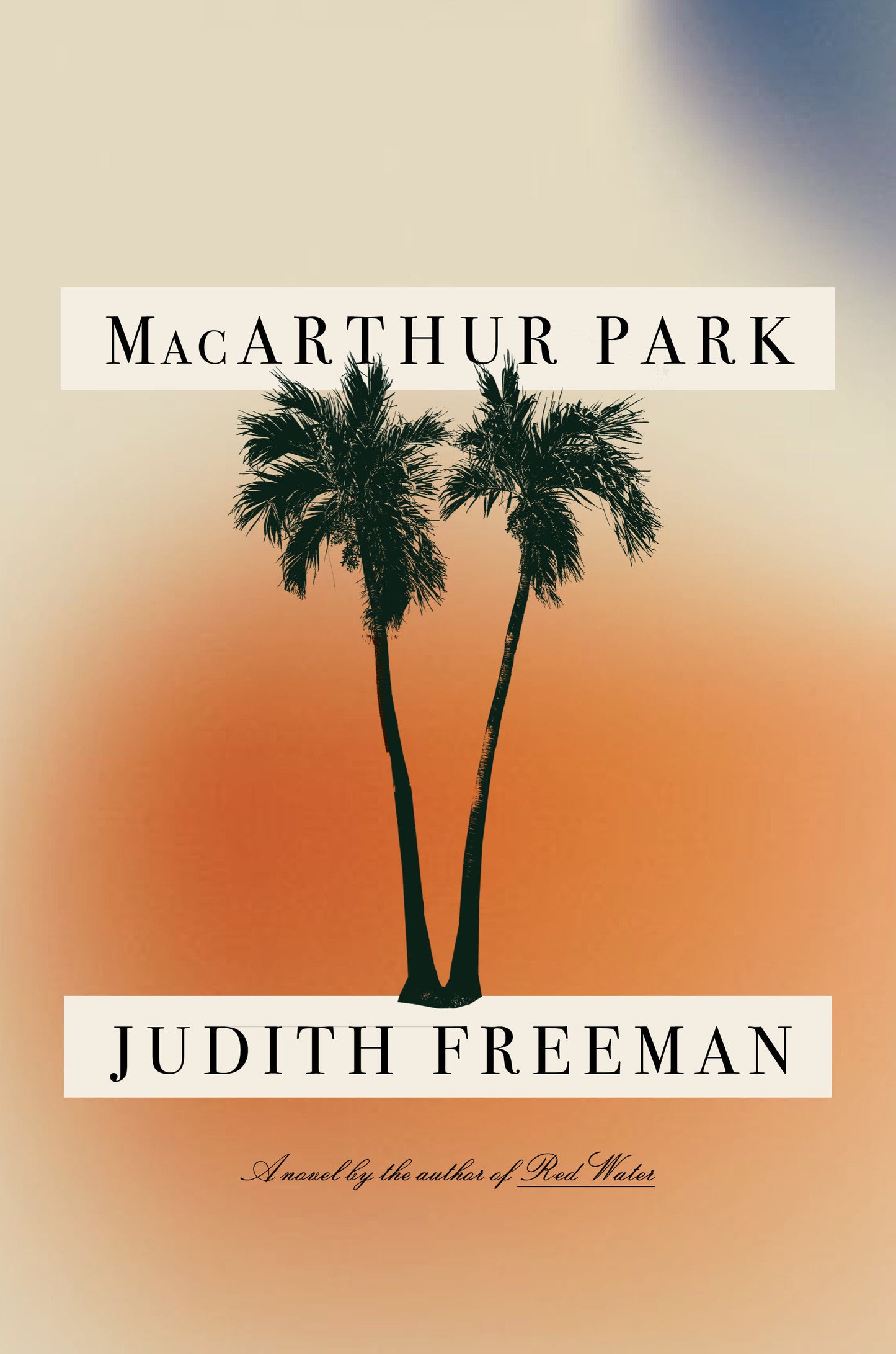 MacArthur Park - A Novel