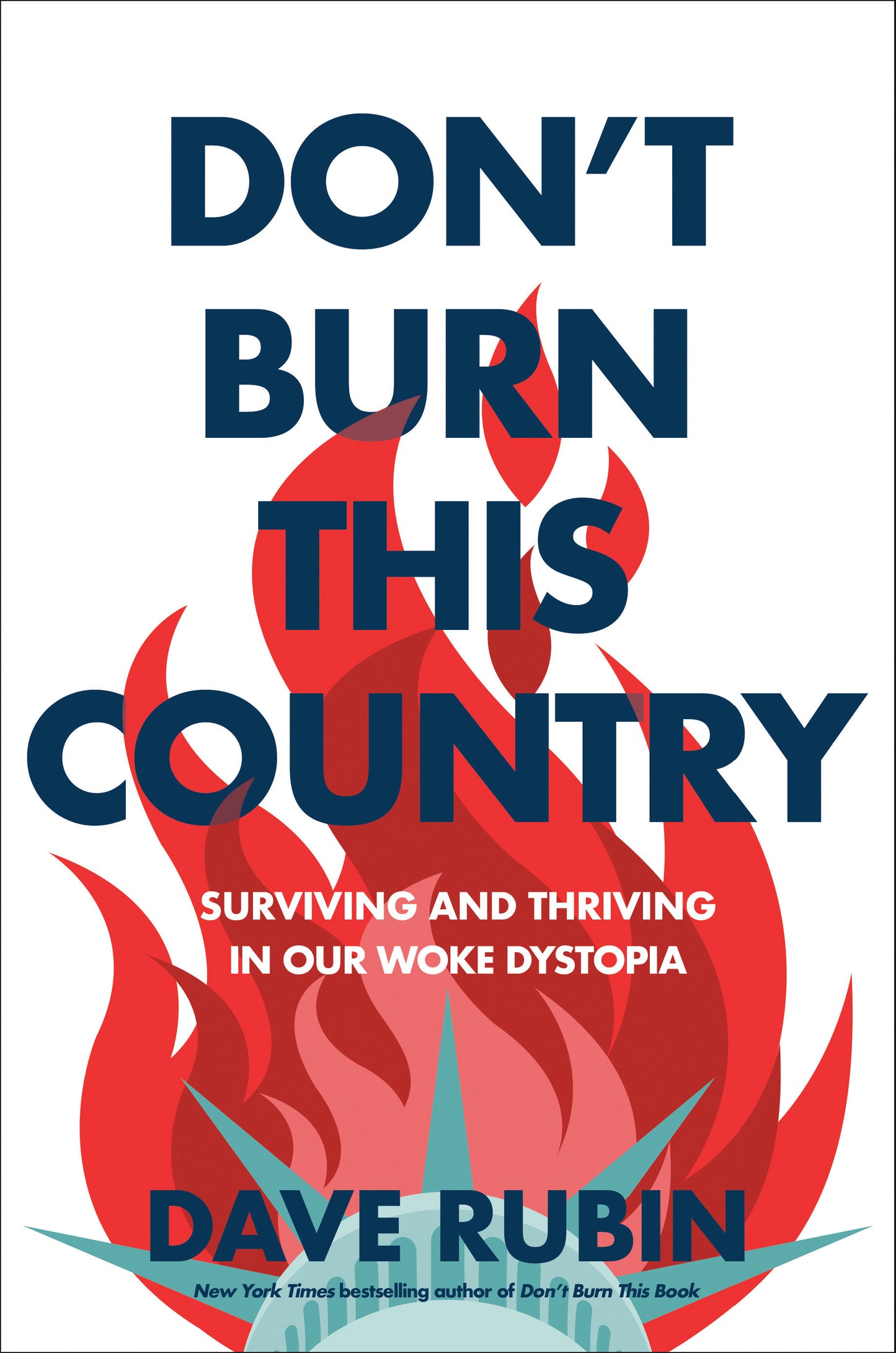 Don't Burn This Country - Surviving and Thriving in Our Woke Dystopia