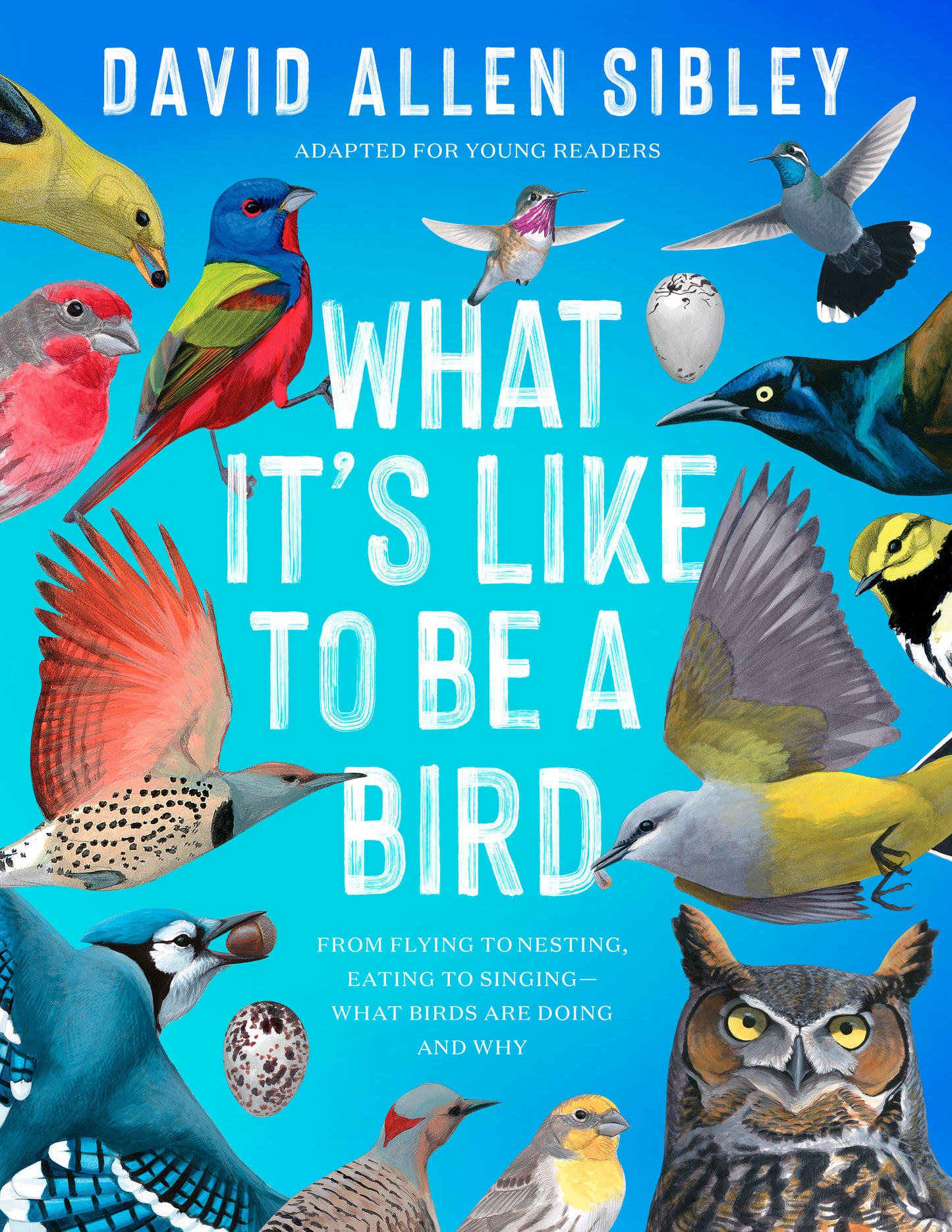 What It's Like to Be a Bird (Adapted for Young Readers) - From Flying to Nesting, Eating to Singing--What Birds Are Doing and Why
