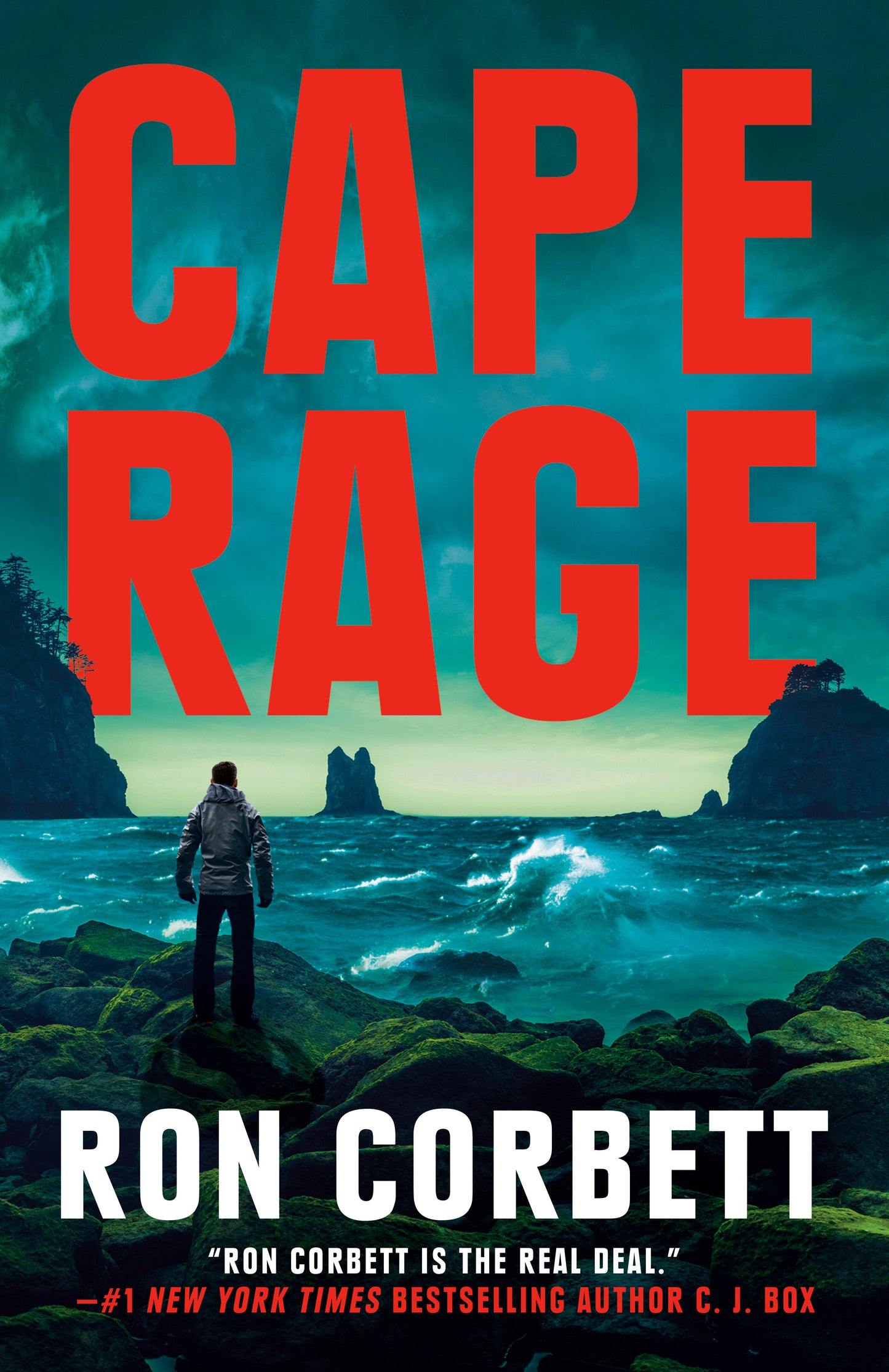 Cape Rage (A Danny Barrett Novel) (Book:2)