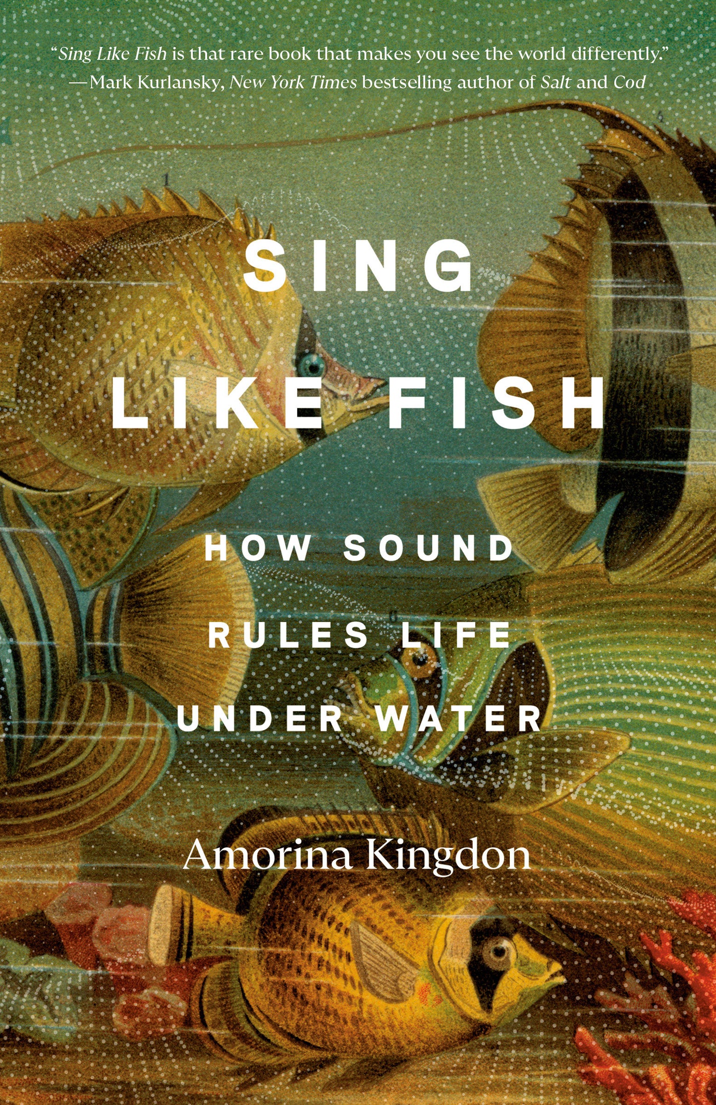 Sing Like Fish - How Sound Rules Life Under Water