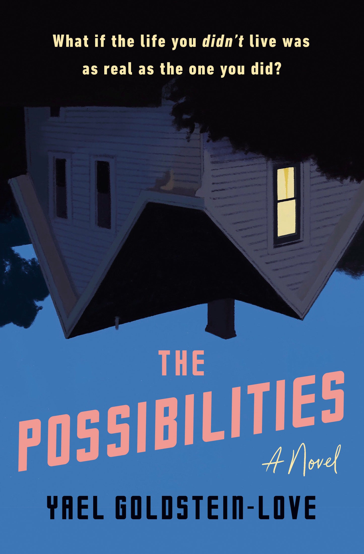 The Possibilities - A Novel
