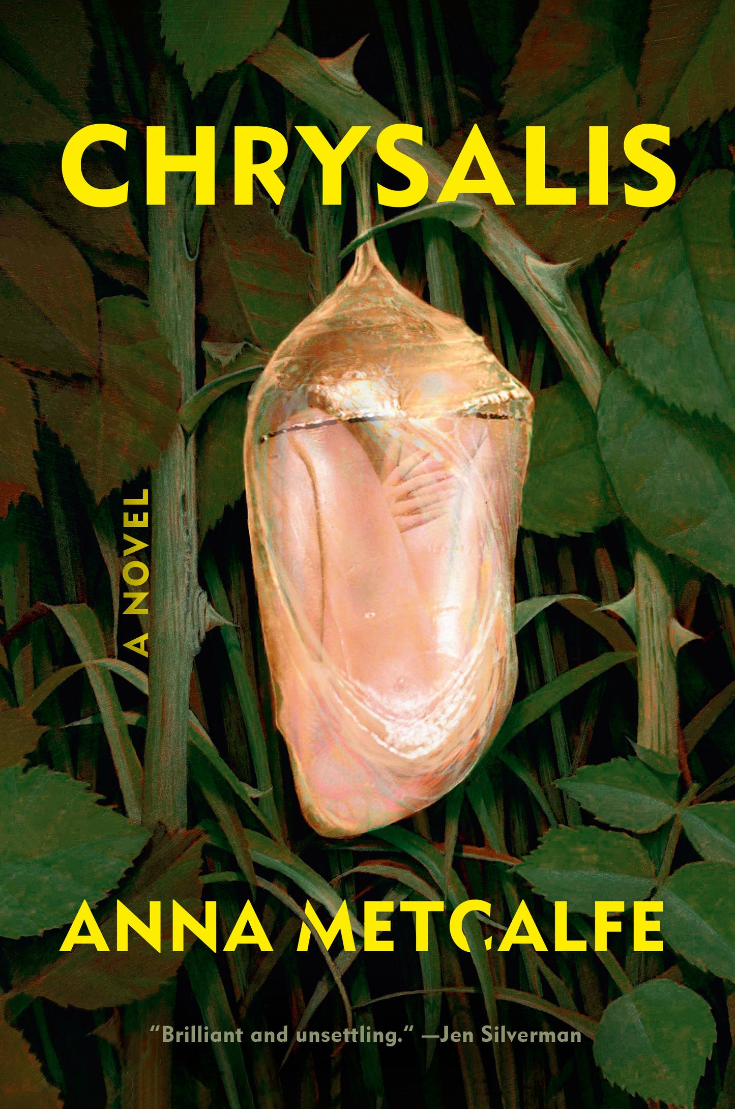 Chrysalis - A Novel