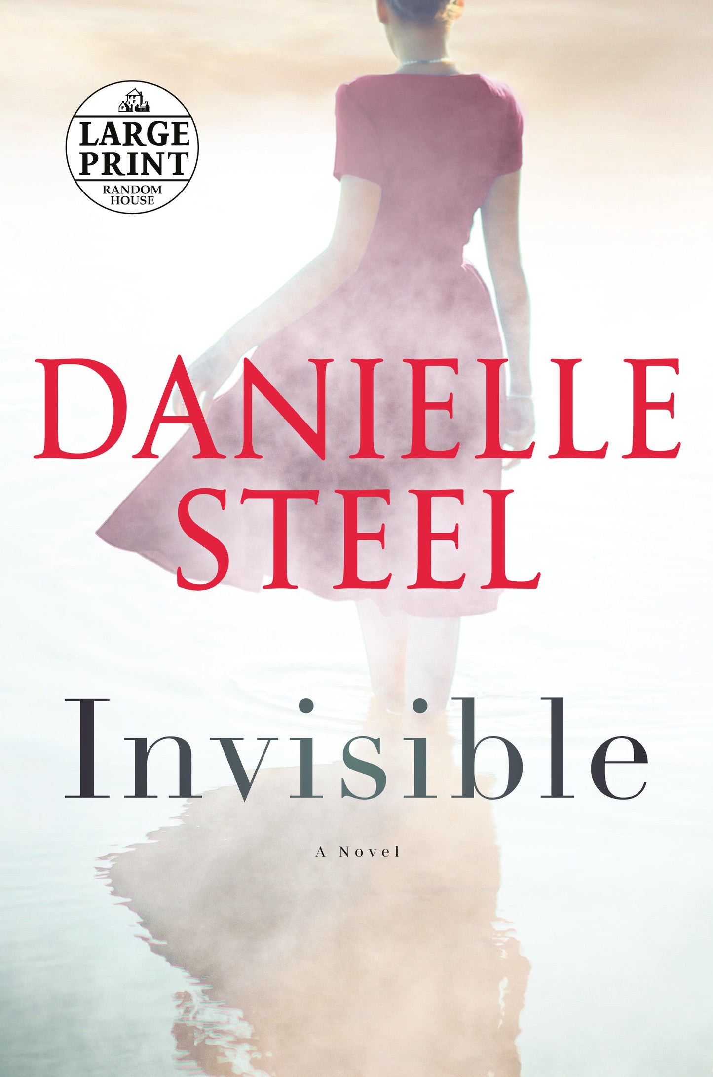 Invisible - A Novel