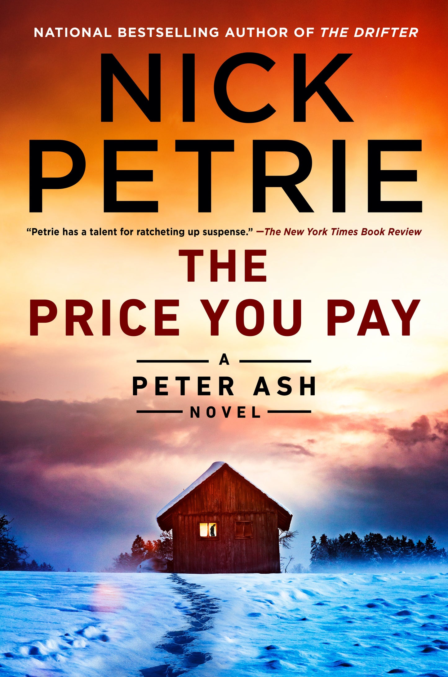 The Price You Pay (A Peter Ash Novel) (Book:8)