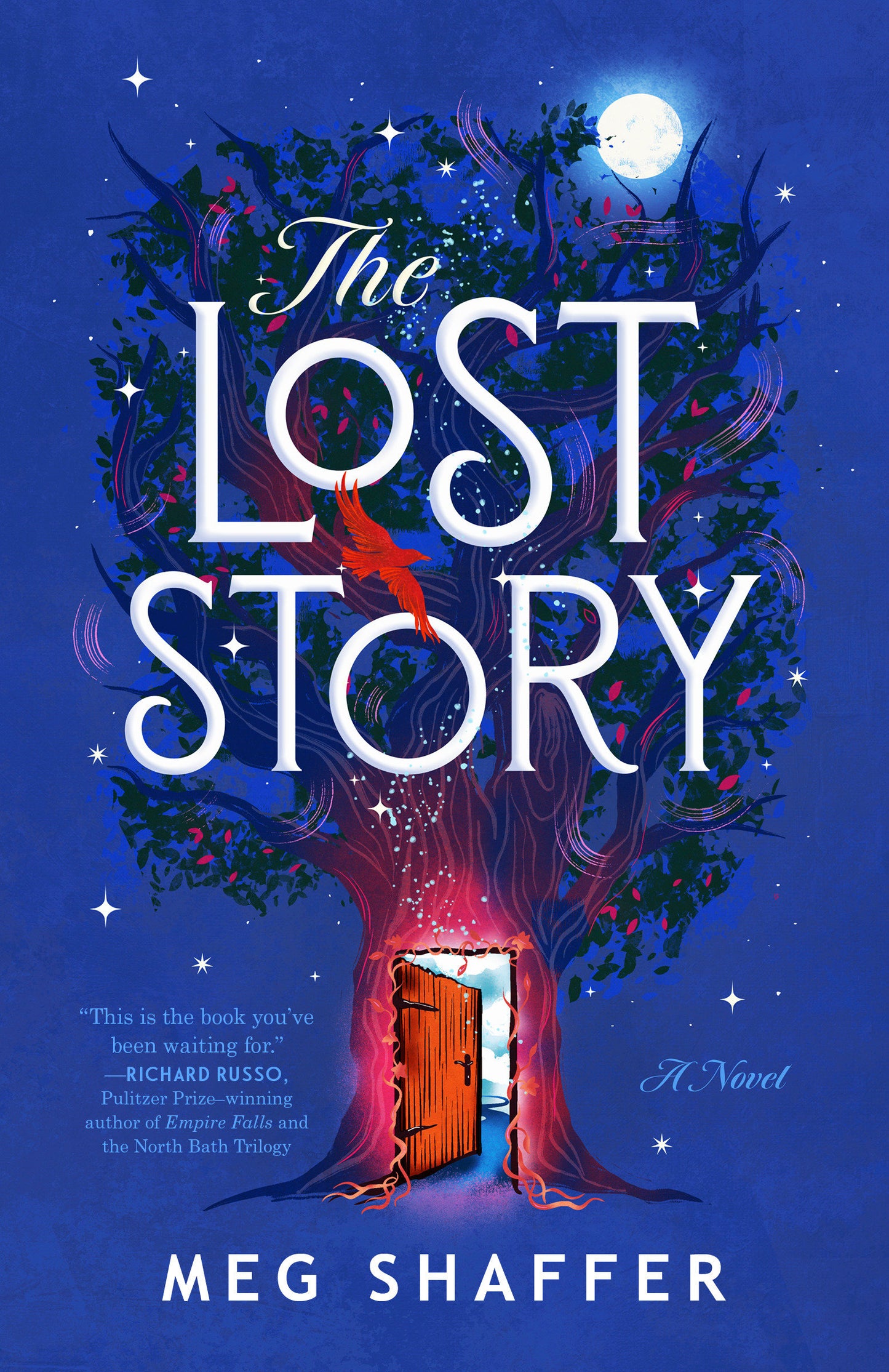 The Lost Story - A Novel