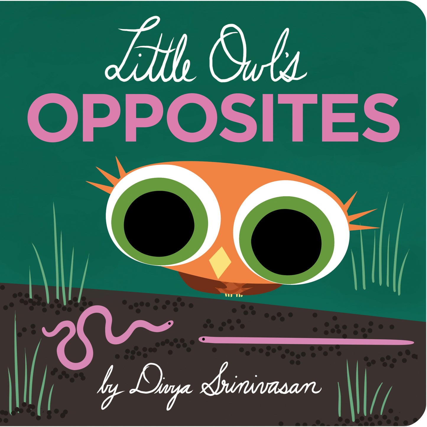 Little Owl's Opposites (Little Owl)