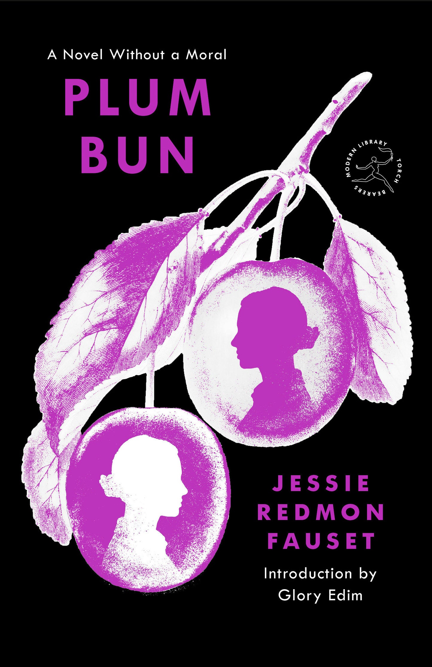 Plum Bun - A Novel Without a Moral (Modern Library Torchbearers)