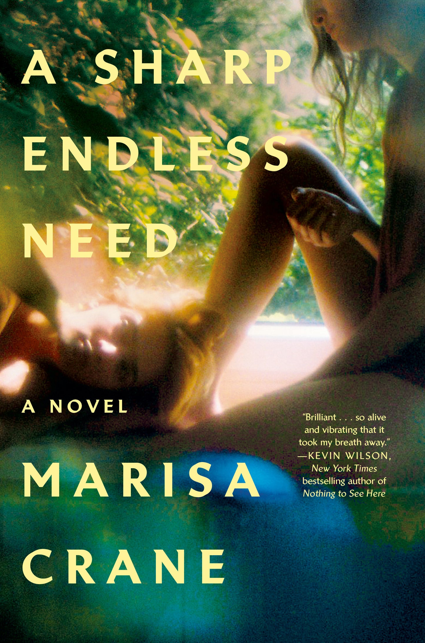 A Sharp Endless Need - A Novel