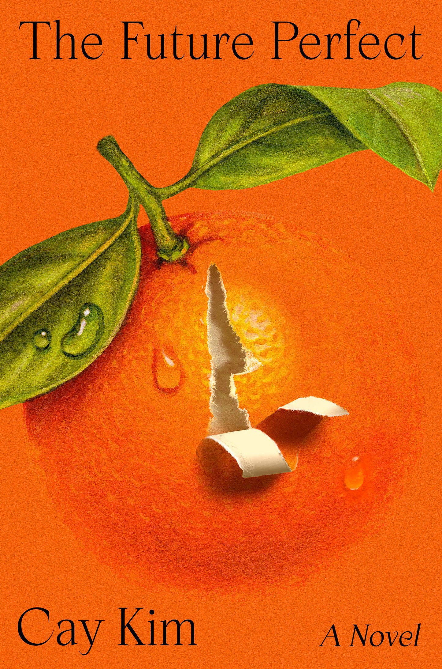 The Future Perfect - A Novel