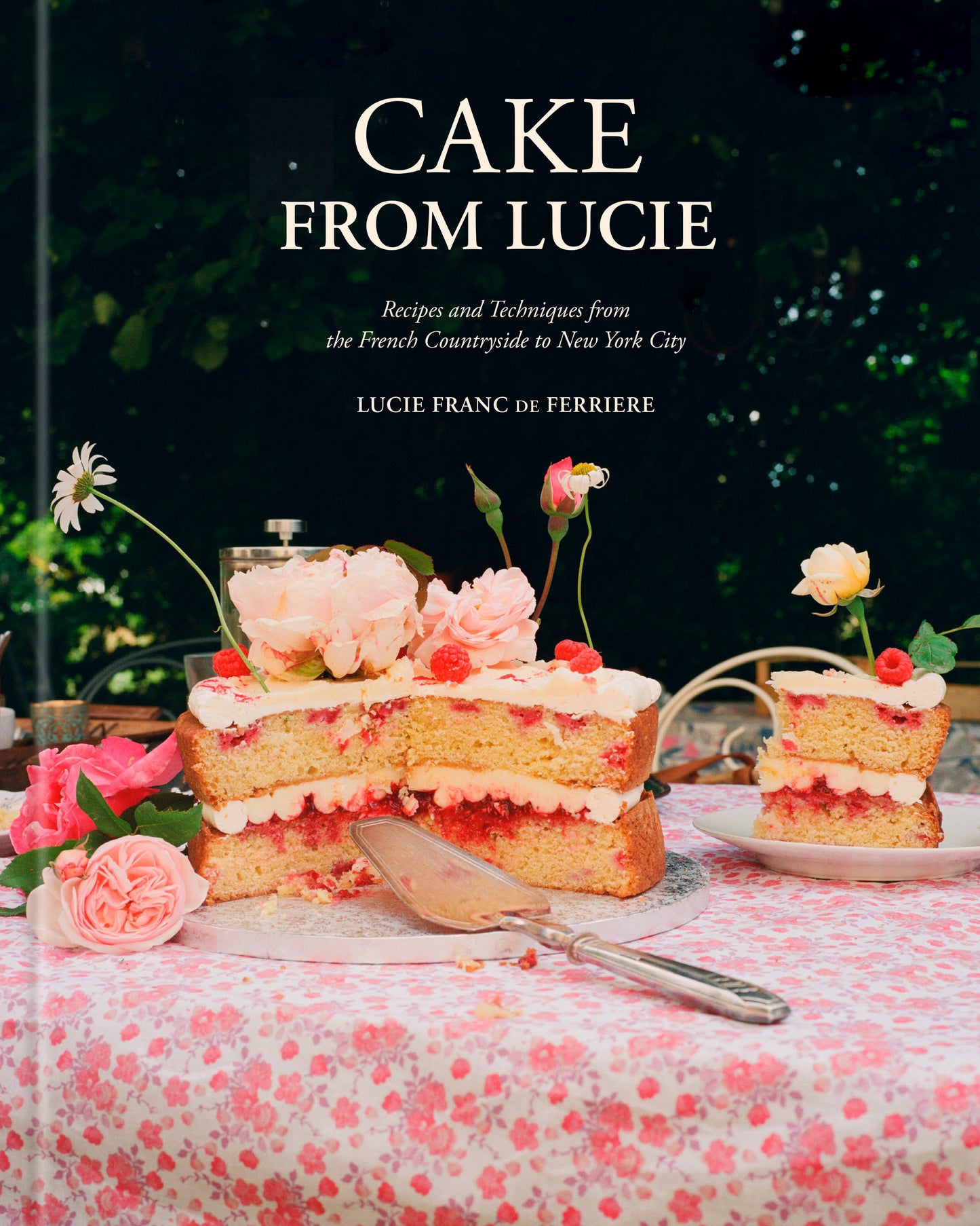Cake From Lucie - Recipes and Techniques from the French Countryside to New York City: A Baking Book