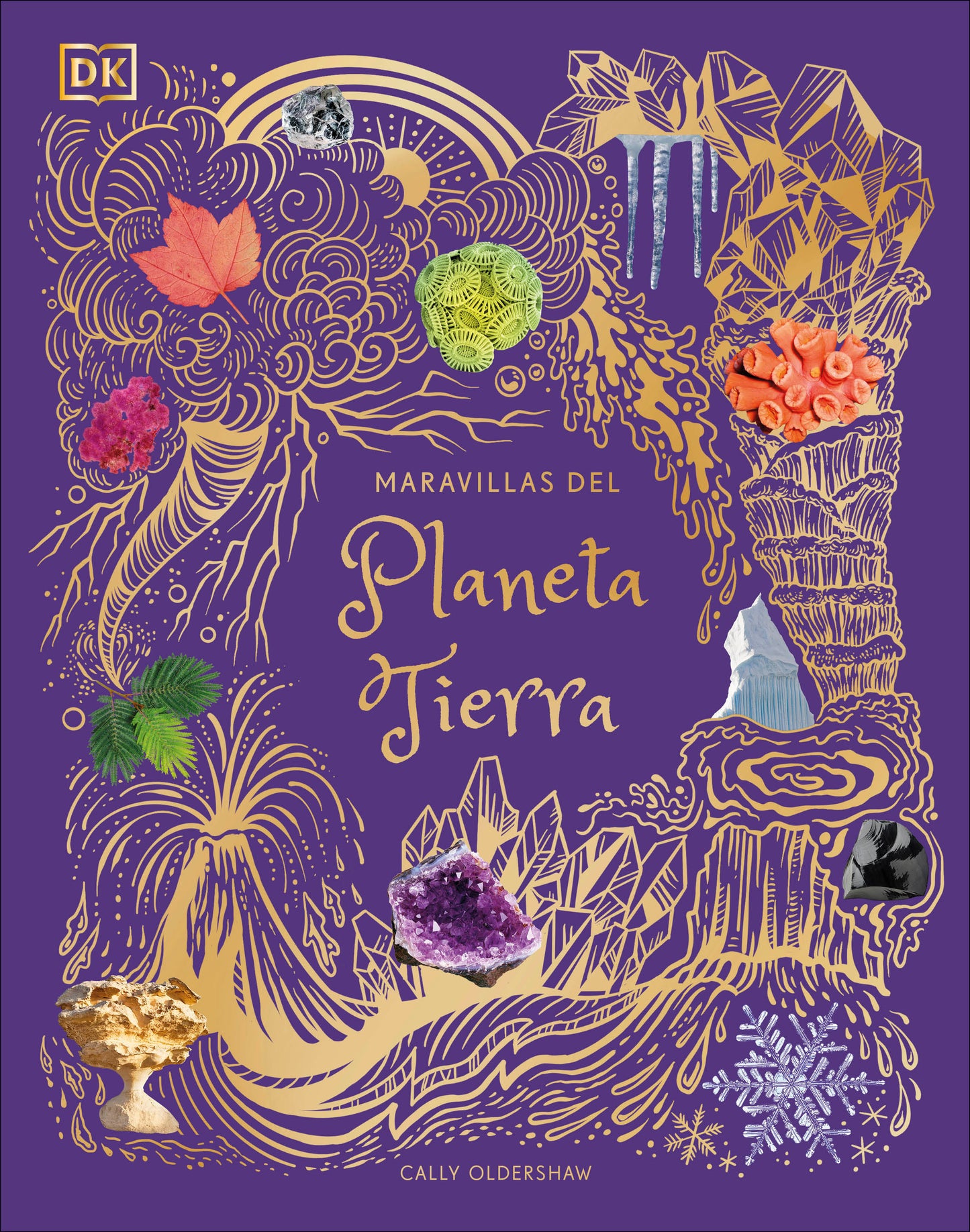 Maravillas del Planeta Tierra (An Anthology of Our Extraordinary Earth) (DK Children's Anthologies)