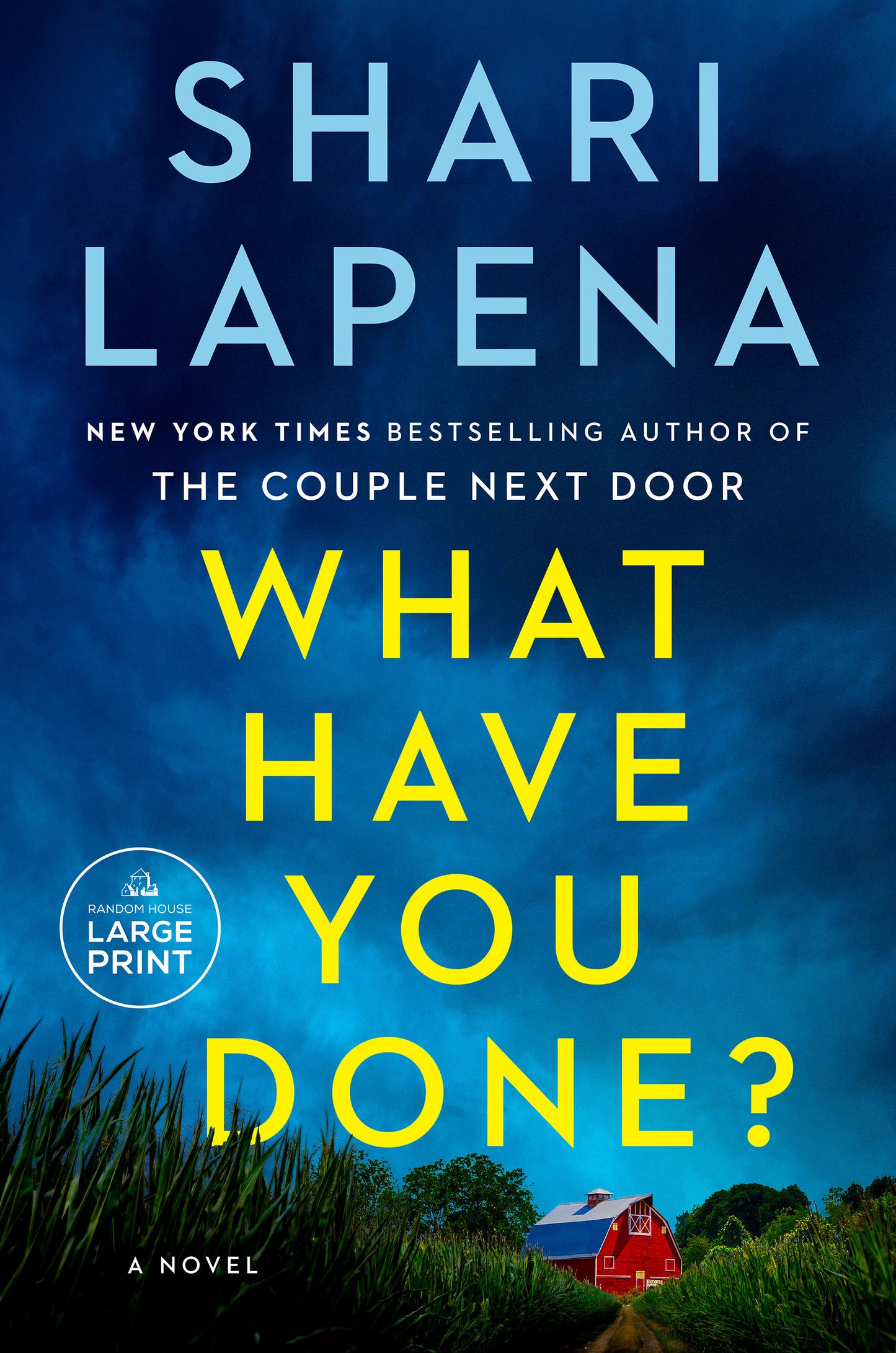What Have You Done? - A Novel