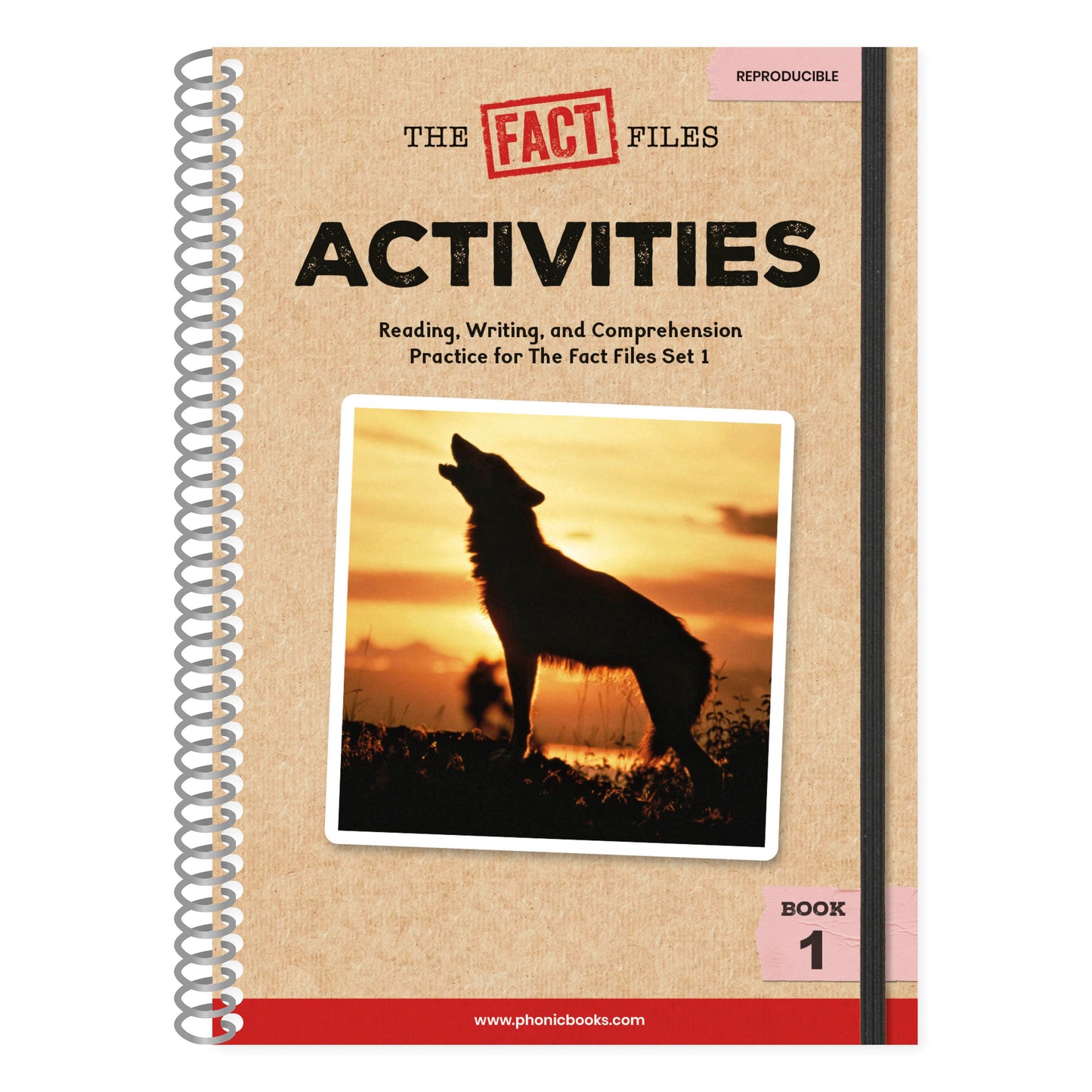 Phonic Books The Fact Files 1 Activities - Consonant blends and digraphs, suffixes -ed and -ing (Phonic Books Catch-Up Decodable Readers)