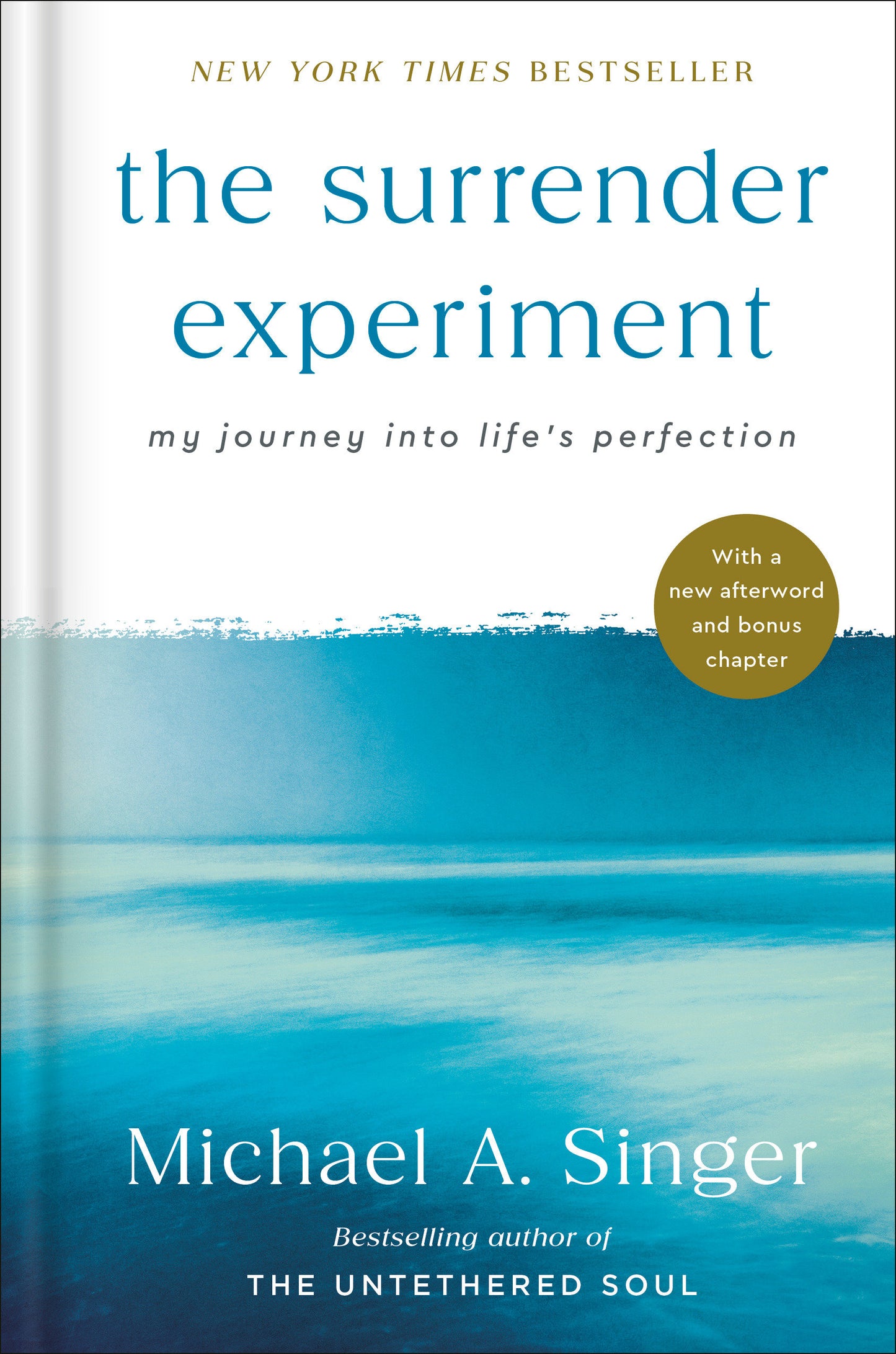 The Surrender Experiment - My Journey into Life's Perfection