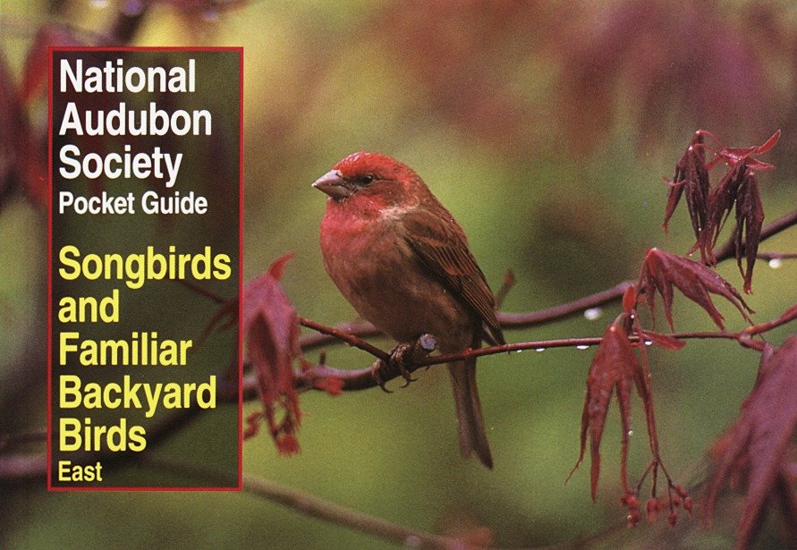 National Audubon Society Pocket Guide to Songbirds and Familiar Backyard Birds: Eastern Region - East (National Audubon Society Pocket Guides)