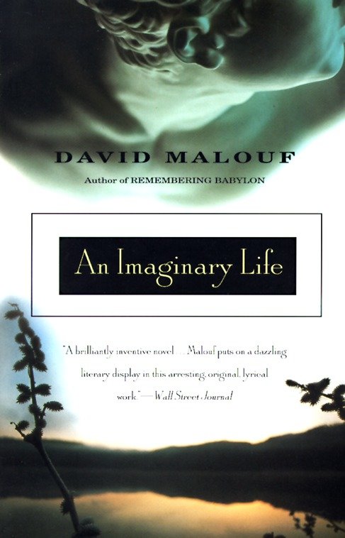 An Imaginary Life (Vintage International)