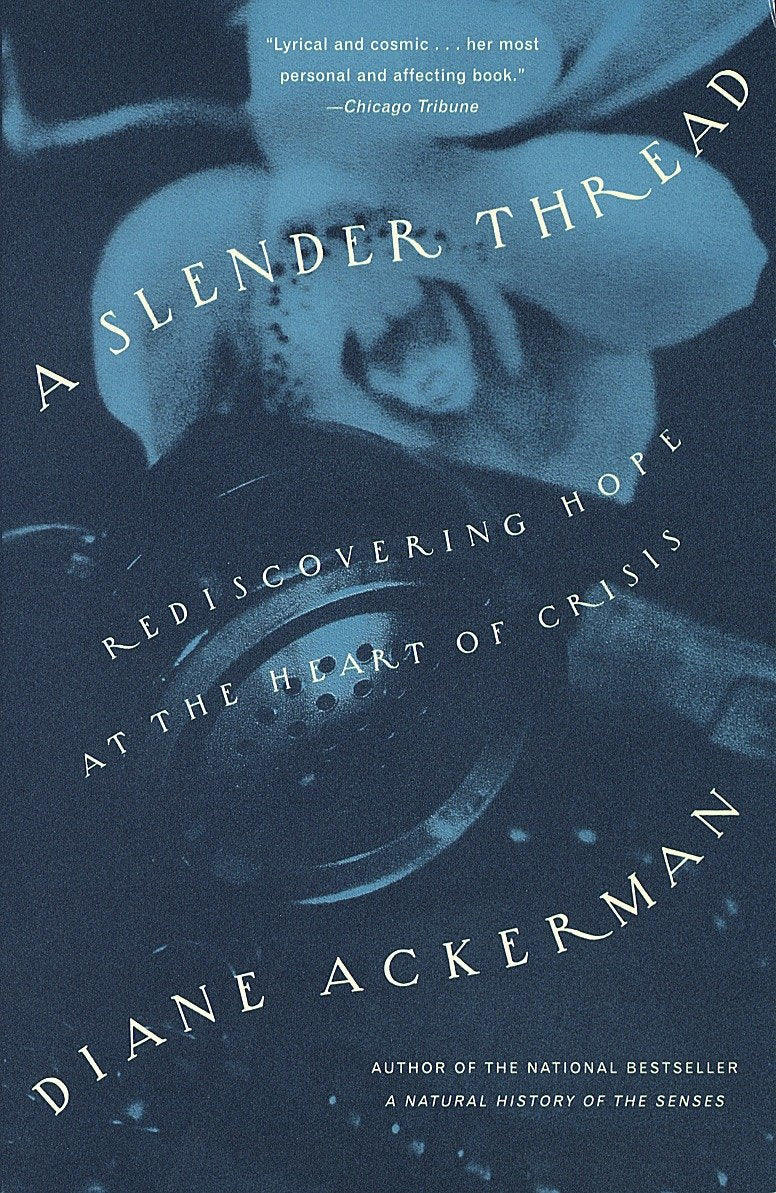 A Slender Thread - Rediscovering Hope at the Heart of Crisis