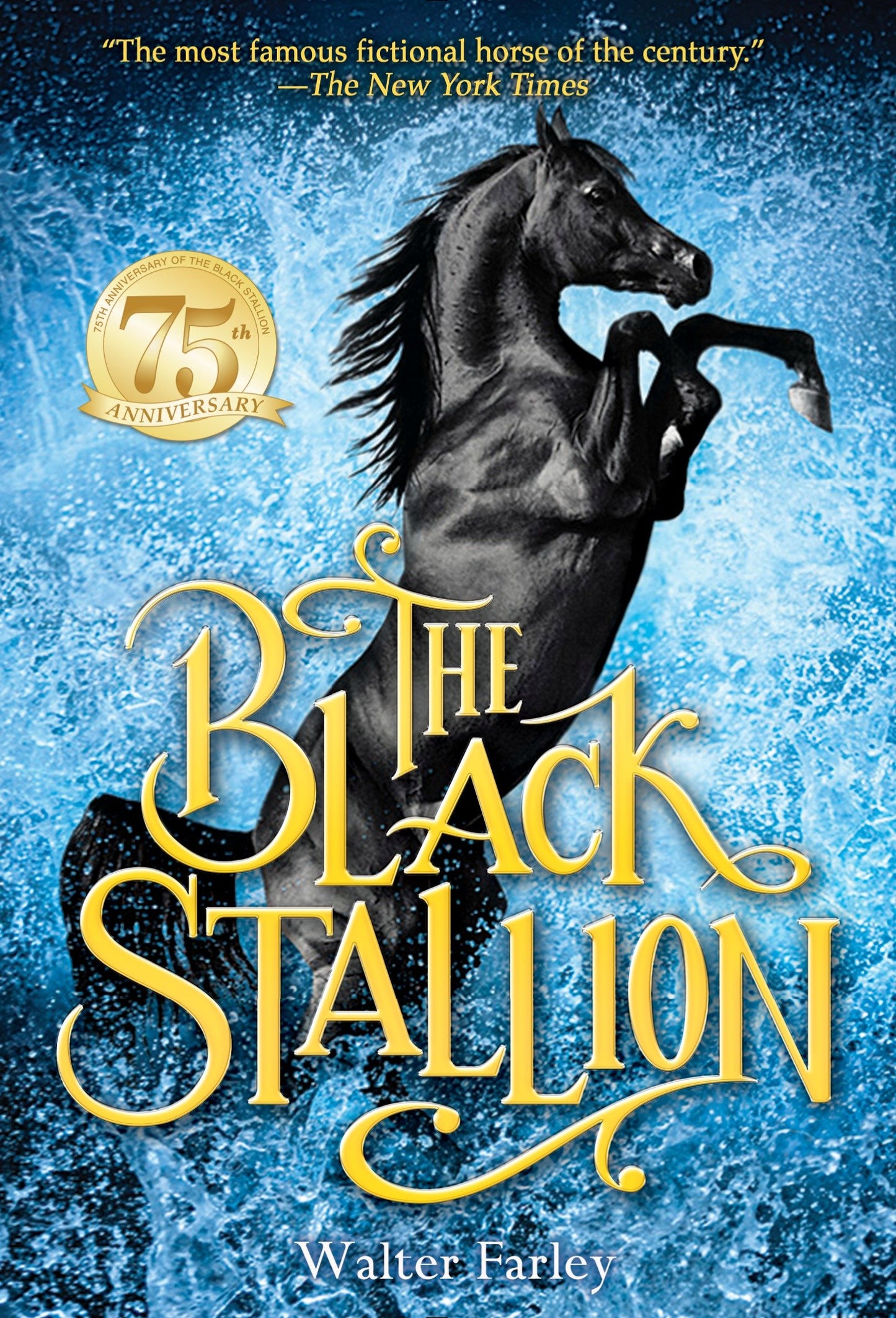 The Black Stallion (Black Stallion)