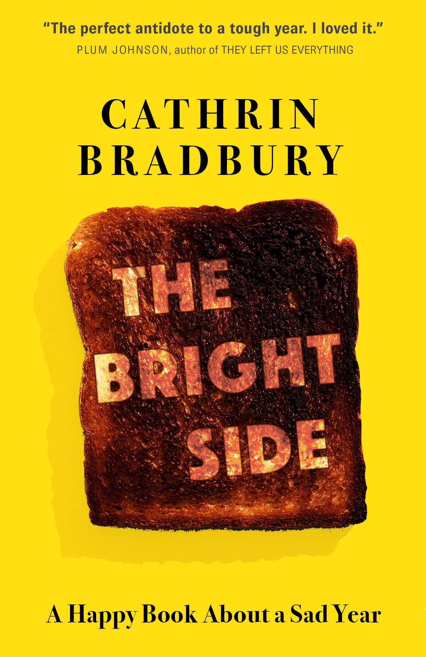 The Bright Side - A Happy Book About a Sad Year