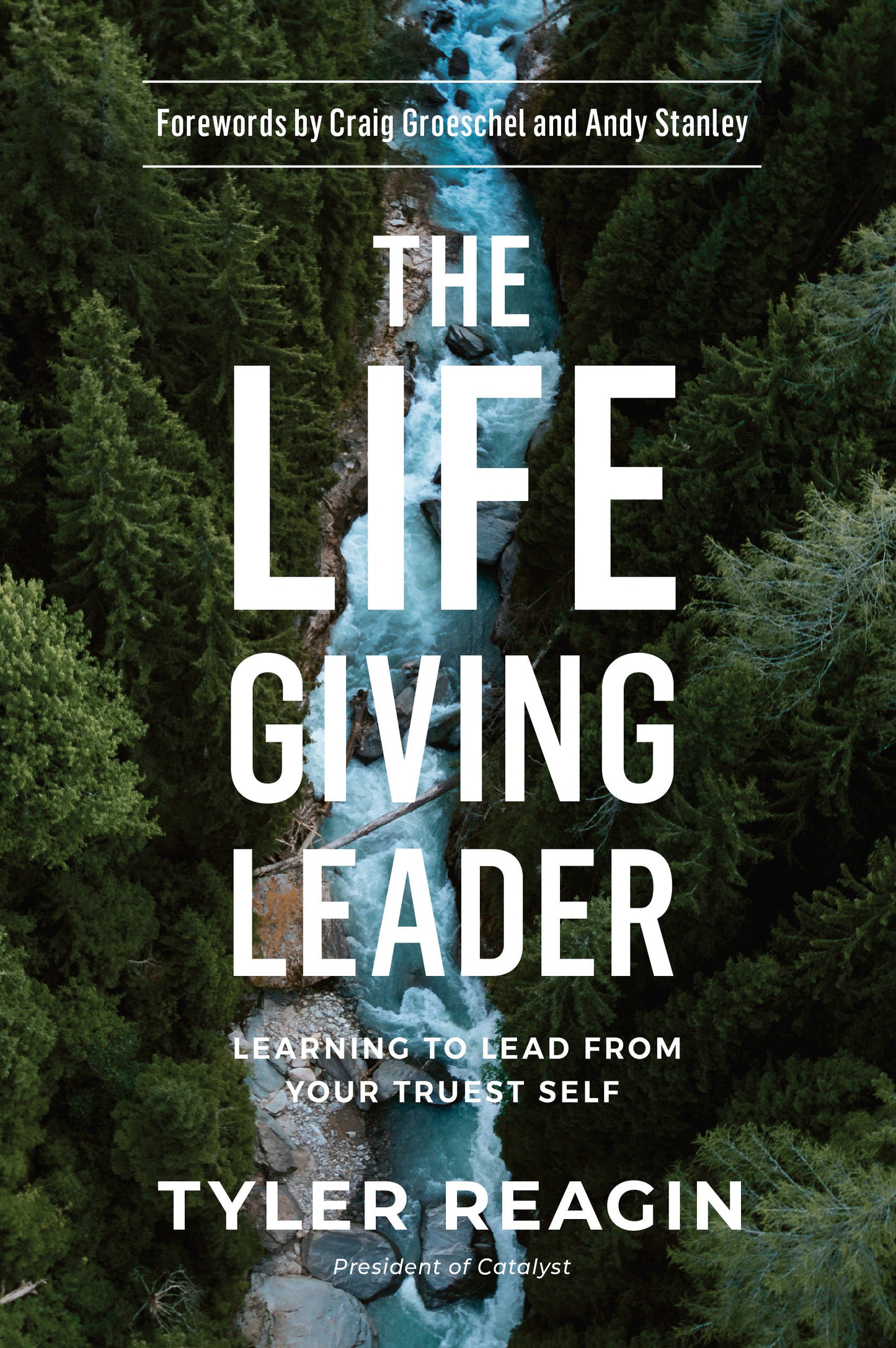 The Life-Giving Leader - Learning to Lead from Your Truest Self
