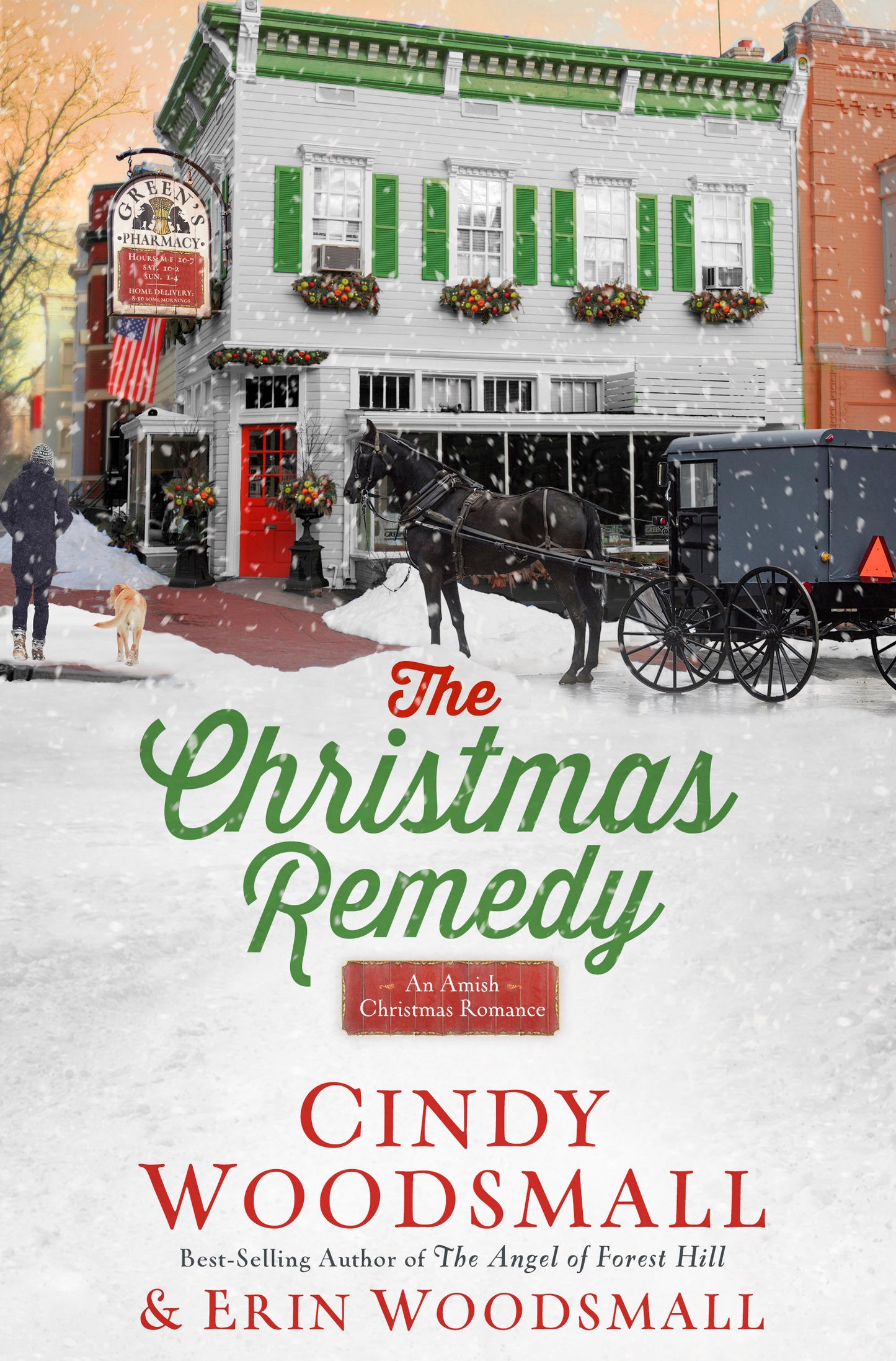 The Christmas Remedy - An Amish Christmas Romance
