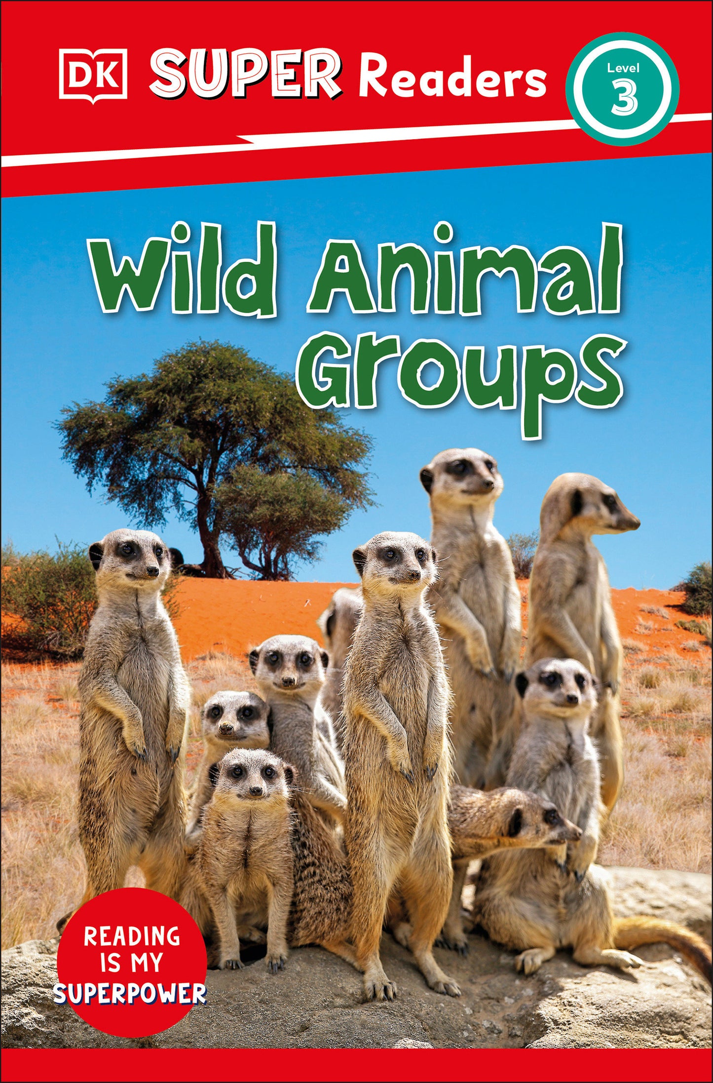 DK Super Readers Level 3 Wild Animal Groups (DK Super Readers)