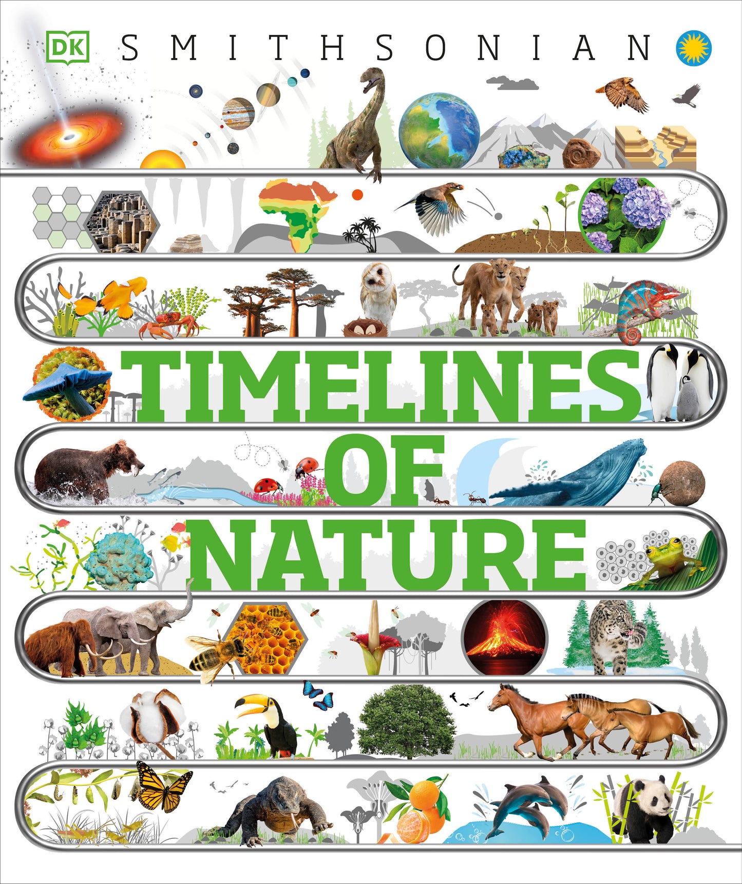 Timelines of Nature - Discover the Secret Stories of Our Ever-Changing Natural World (DK Children's Timelines)
