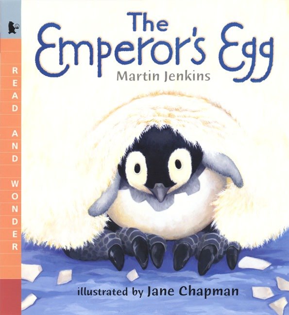 The Emperor's Egg: Big Book - Read and Wonder (Read and Wonder)