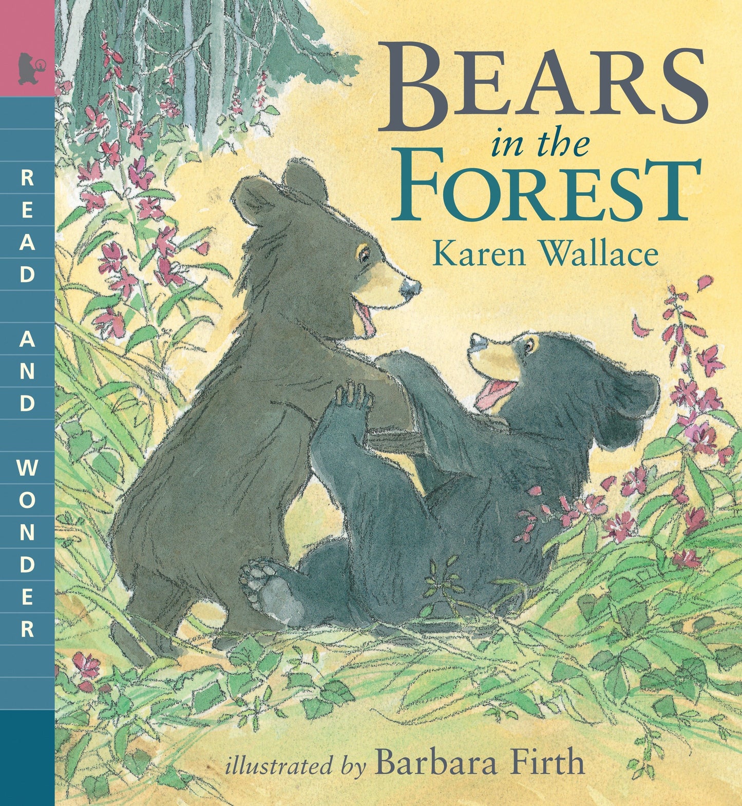 Bears in the Forest - Read and Wonder (Read and Wonder)