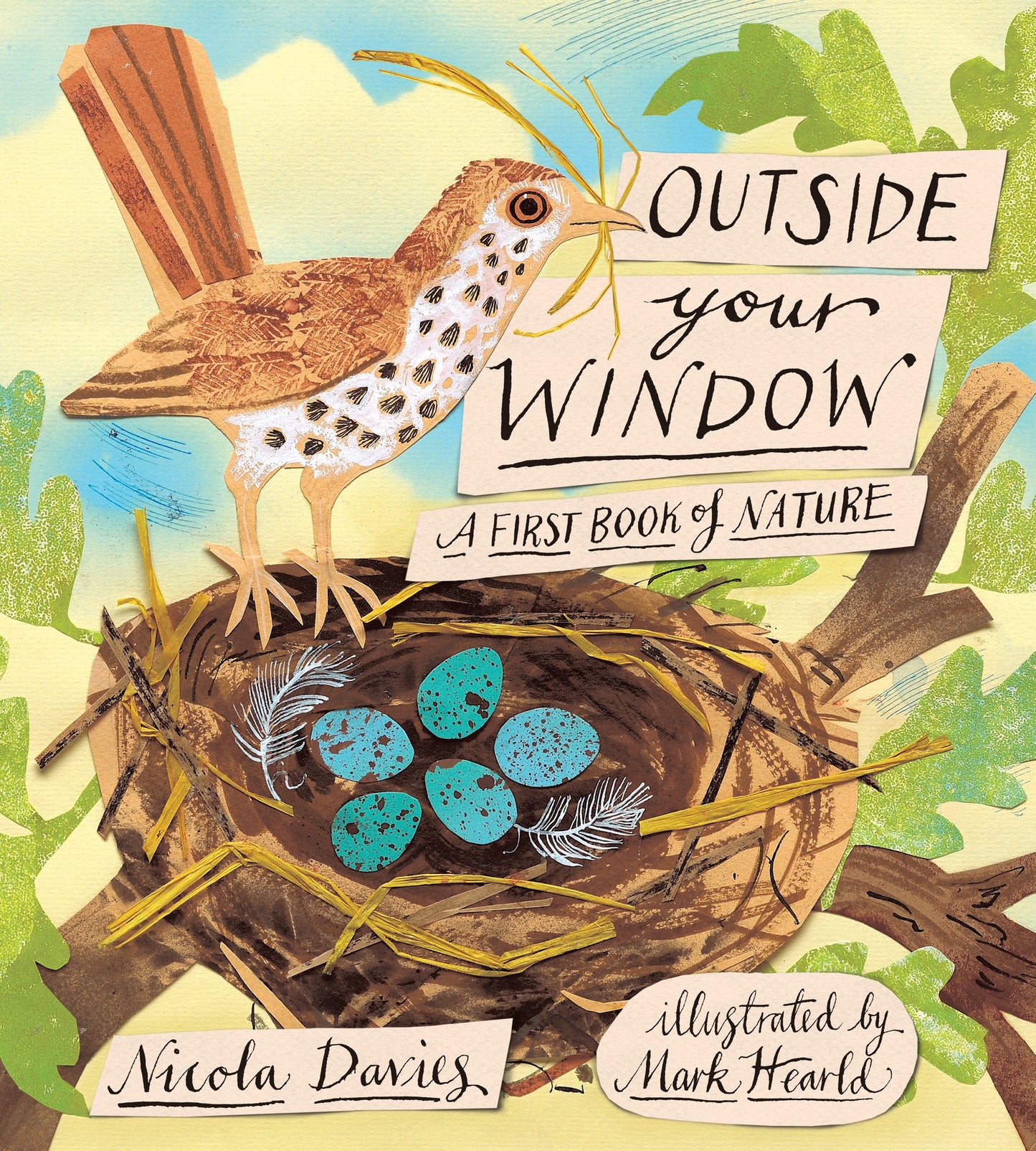 Outside Your Window - A First Book of Nature