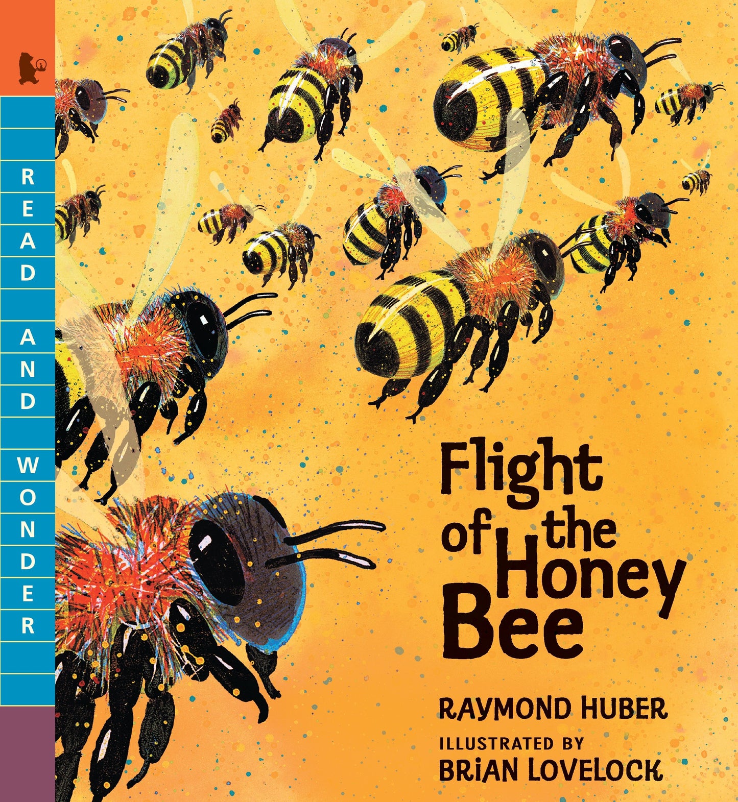 Flight of the Honey Bee - Read and Wonder (Read and Wonder)