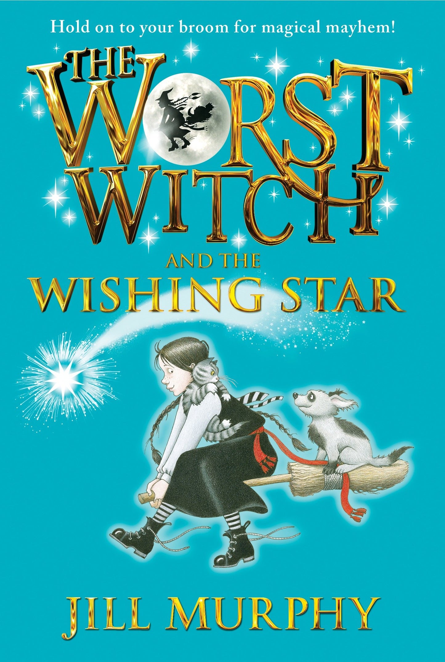 The Worst Witch and the Wishing Star (Worst Witch) (Book:7)