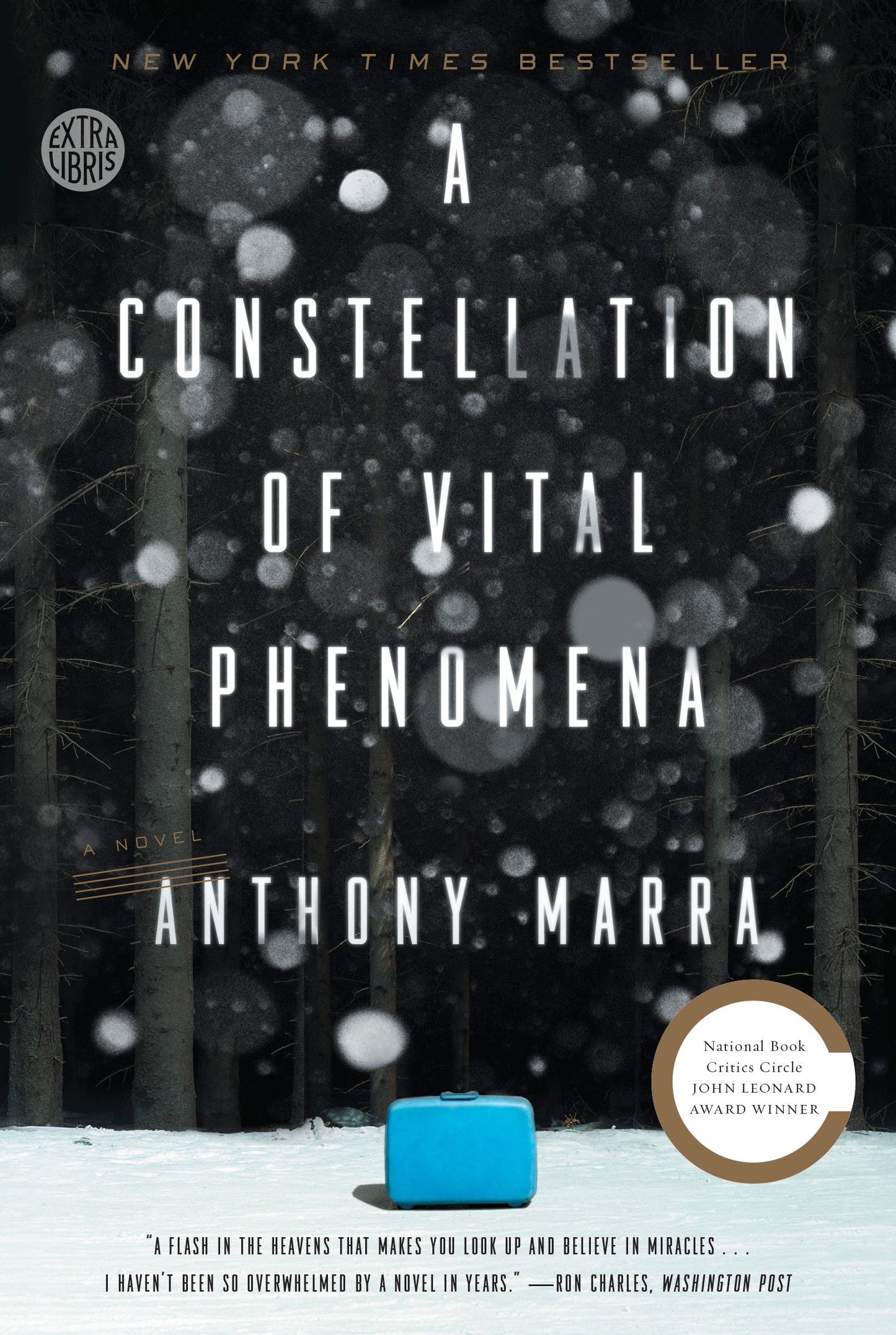 A Constellation of Vital Phenomena - A Novel