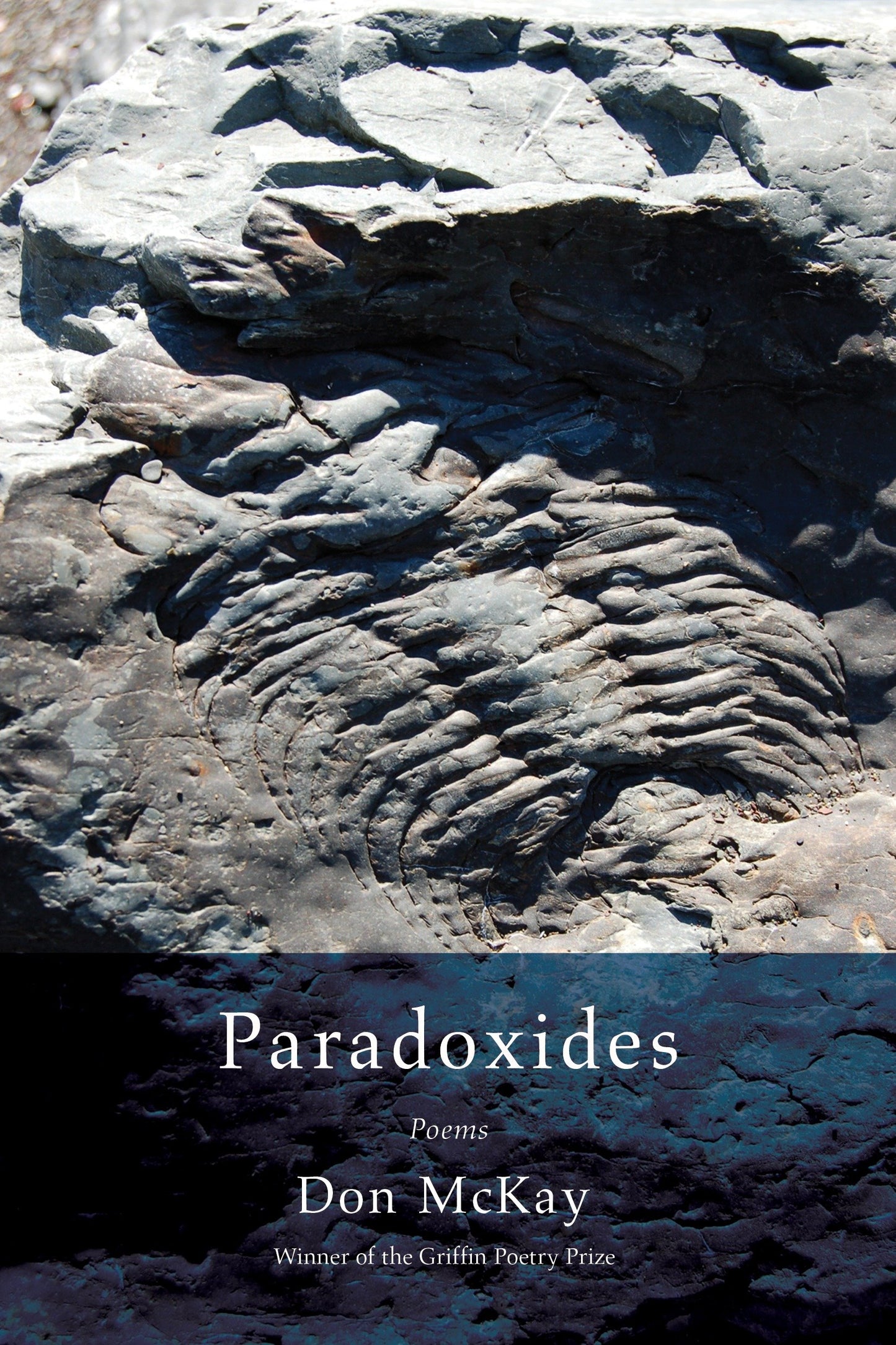 Paradoxides - Poems
