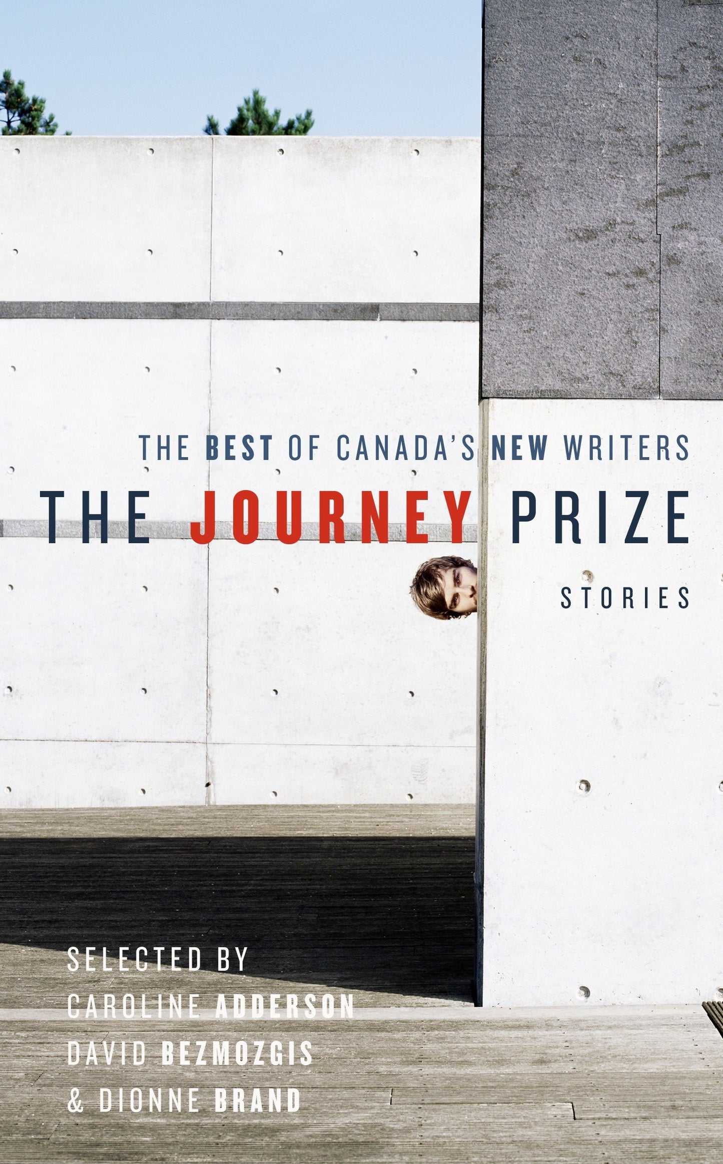 The Journey Prize Stories 19 - The Best of Canada's New Writers (Journey Prize) (Book:19)