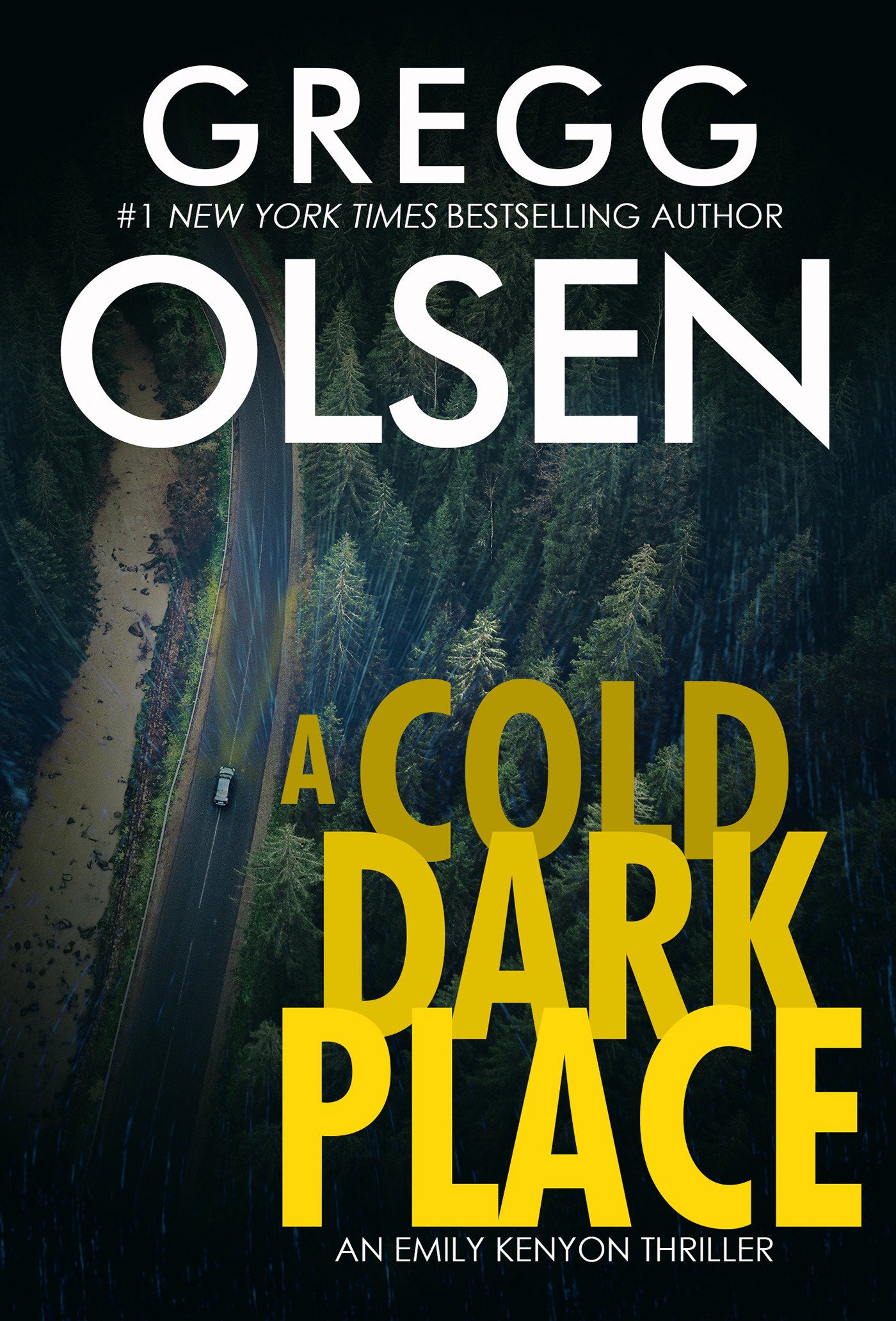 A Cold Dark Place (An Emily Kenyon Thriller) (Book:1)